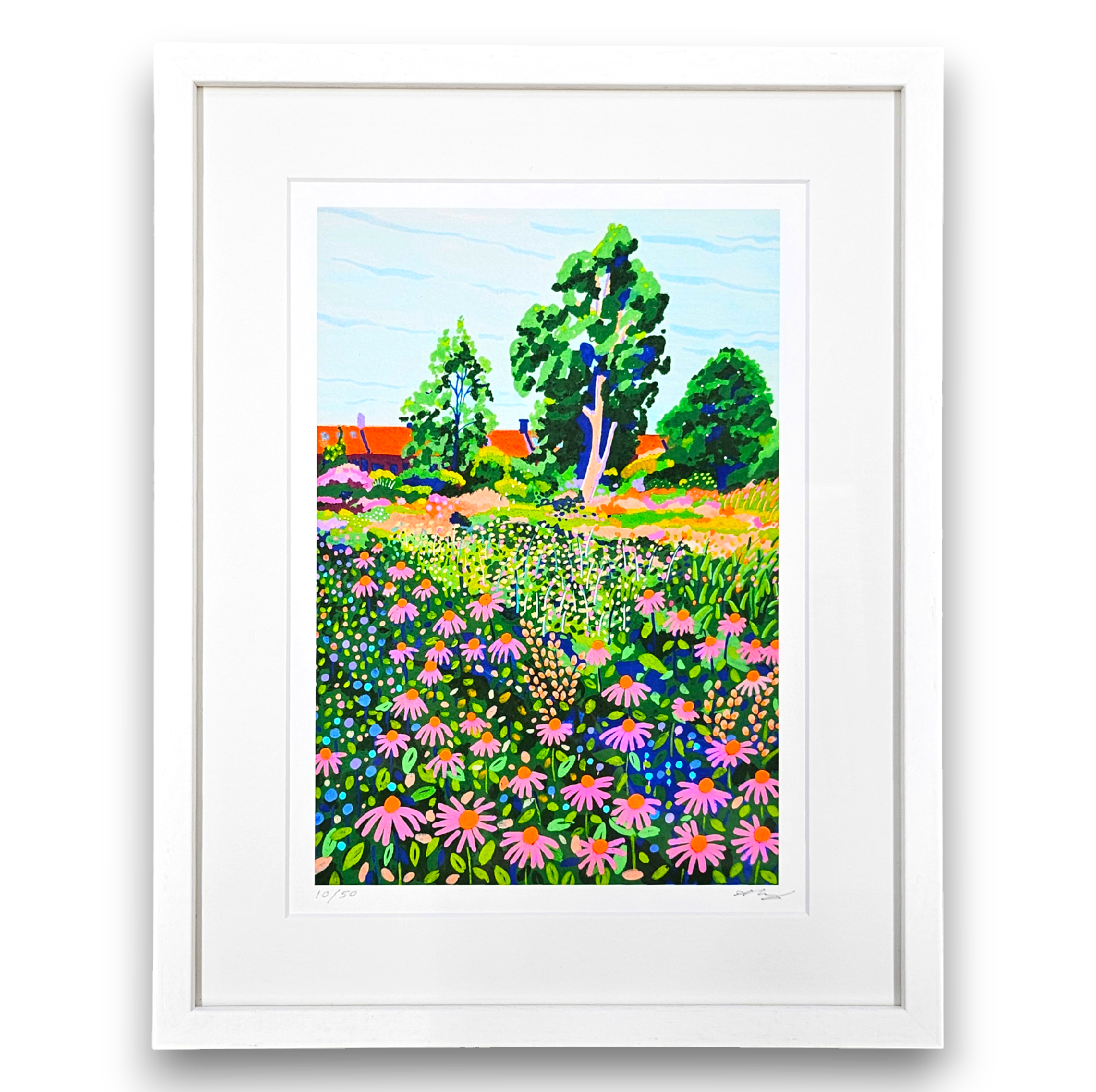 alice brisland "echinacea in lloyd park" 10/50 (framed)