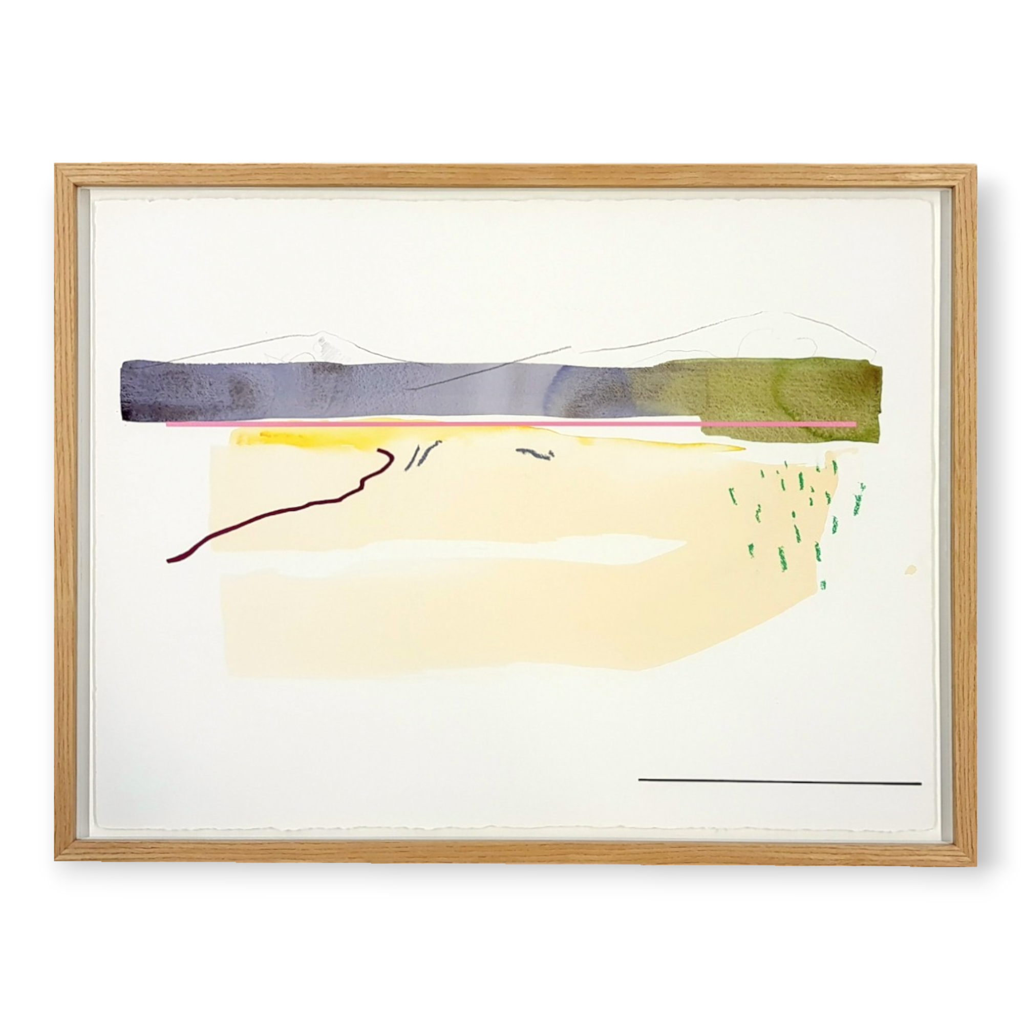 anna macdonald "arizona xvii"