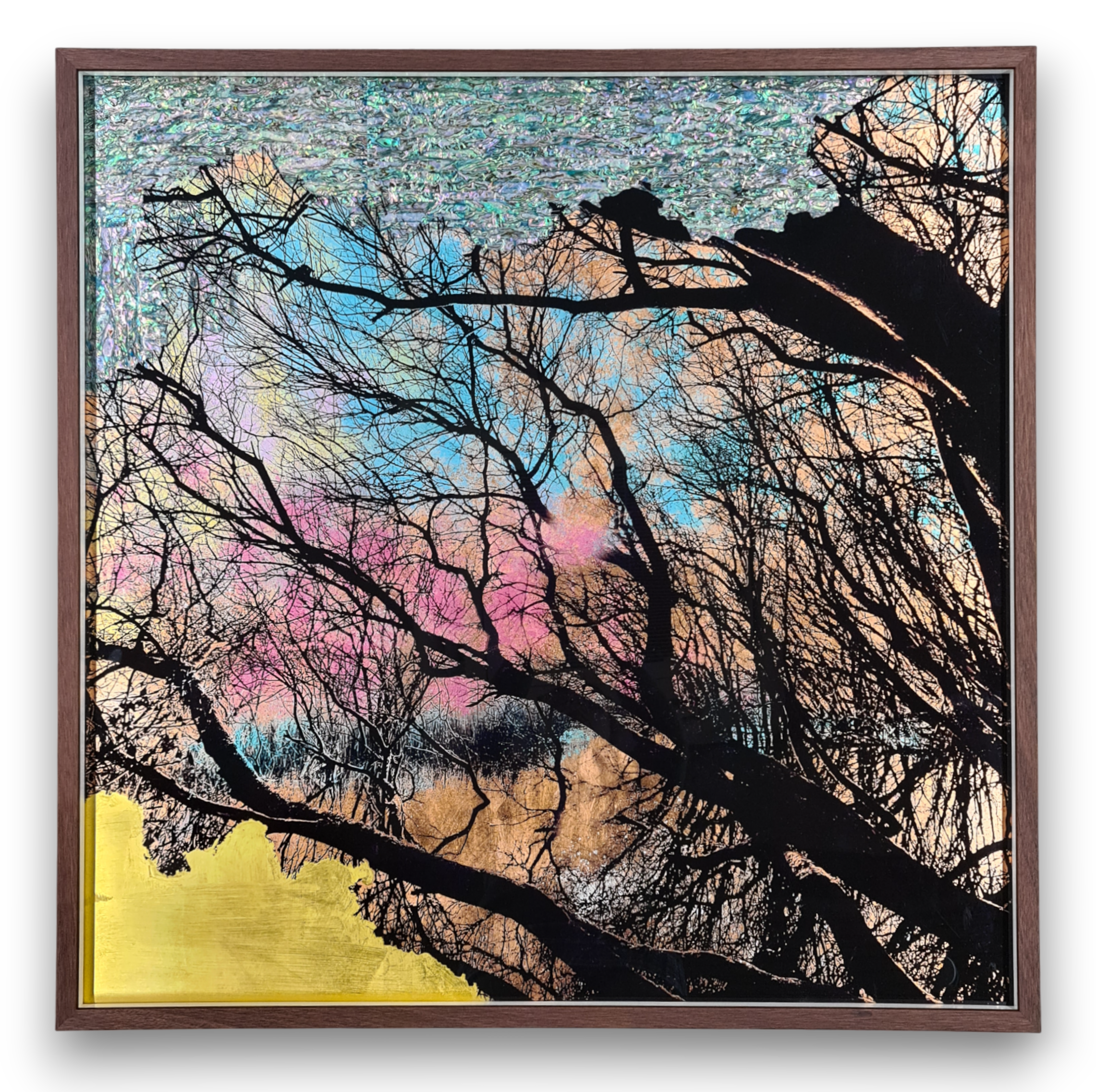 Andrew J Millar - Cloud Drifting 2 of 10 framed.png