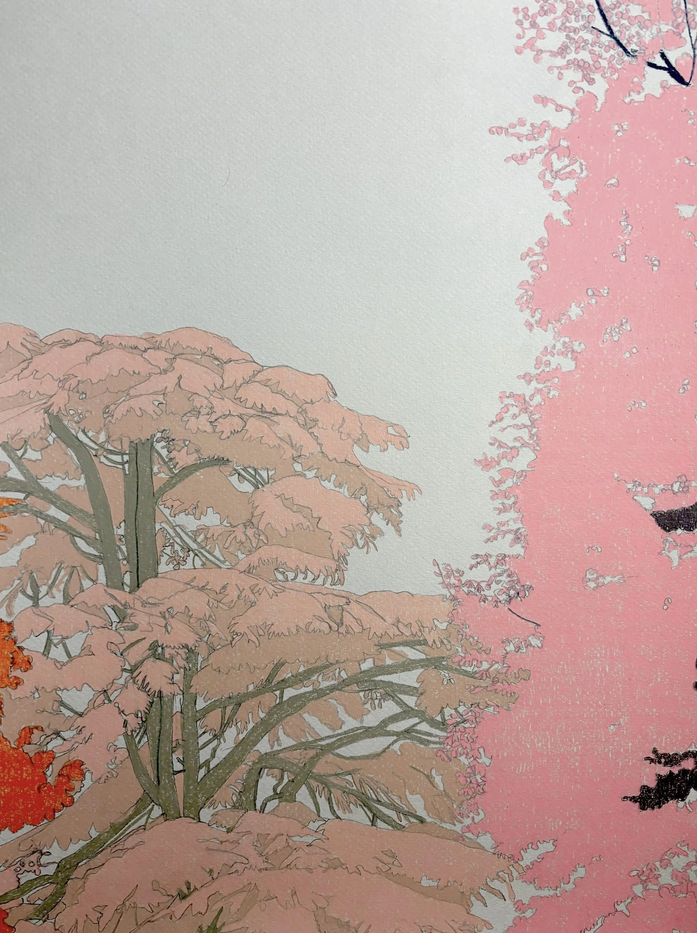 clare halifax "tree study 13" original