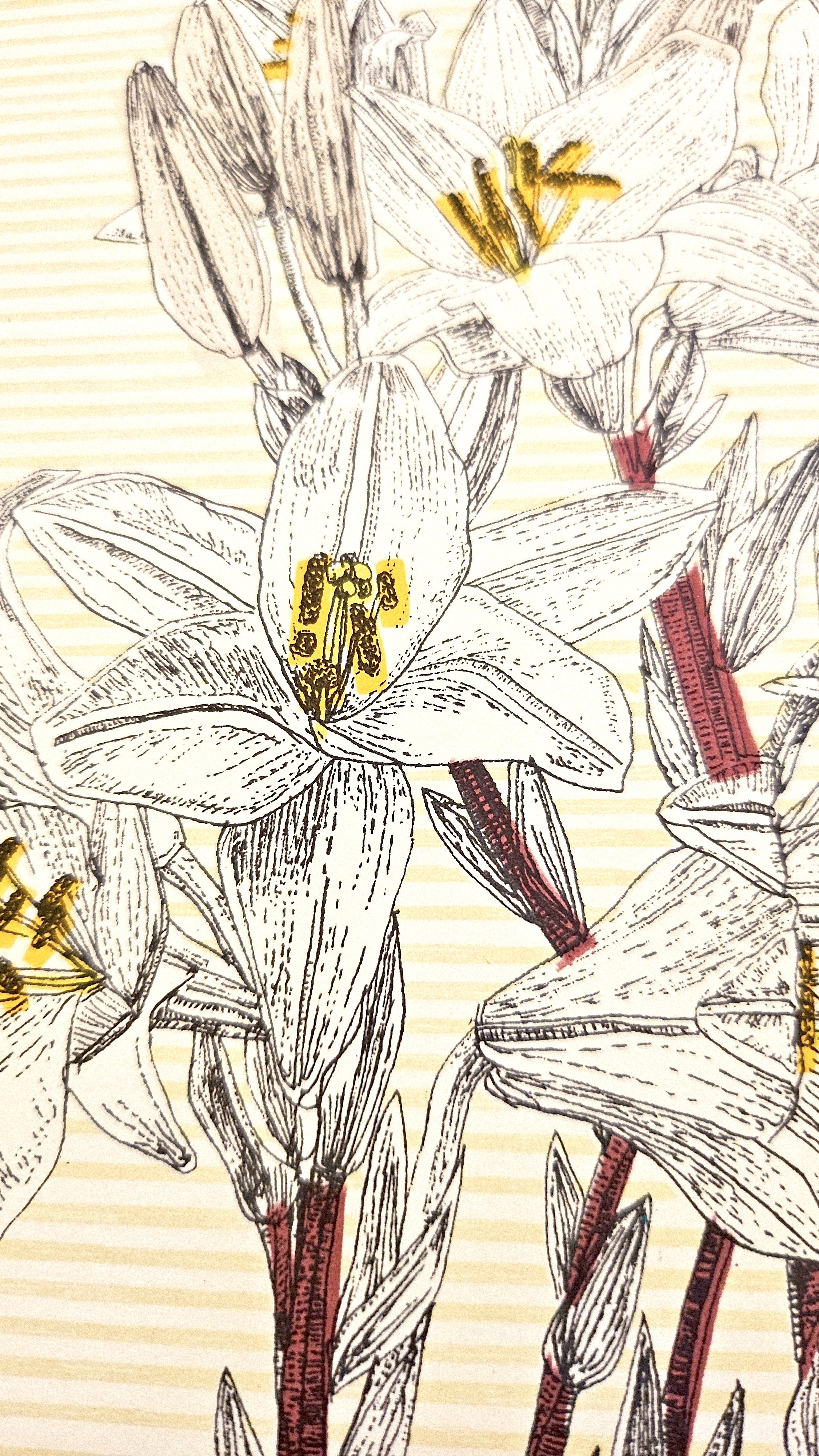 Clare Halifax - Italian Lily detail.jpg