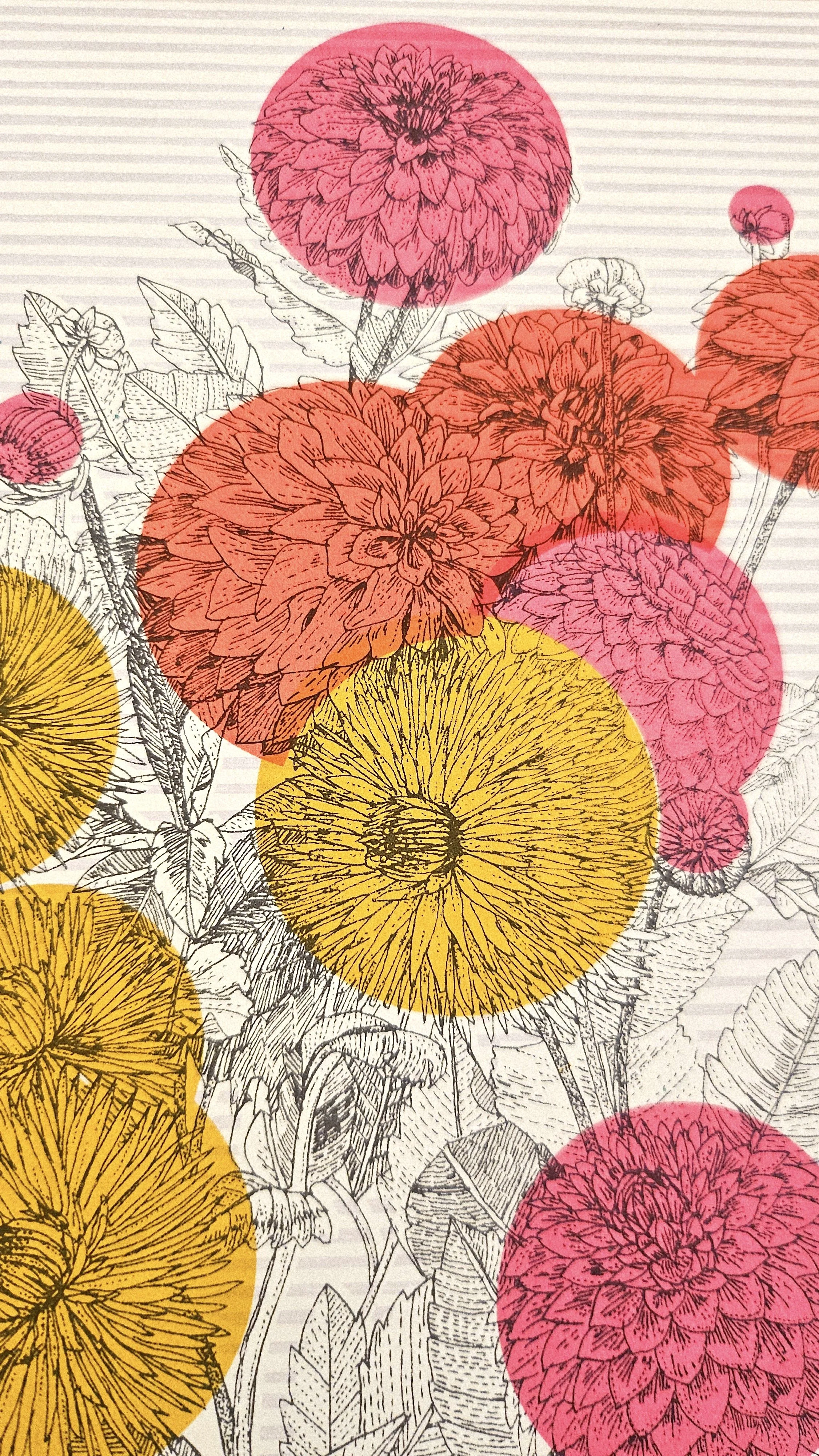 Clare Halifax - Mexican Dahlia detail.jpg