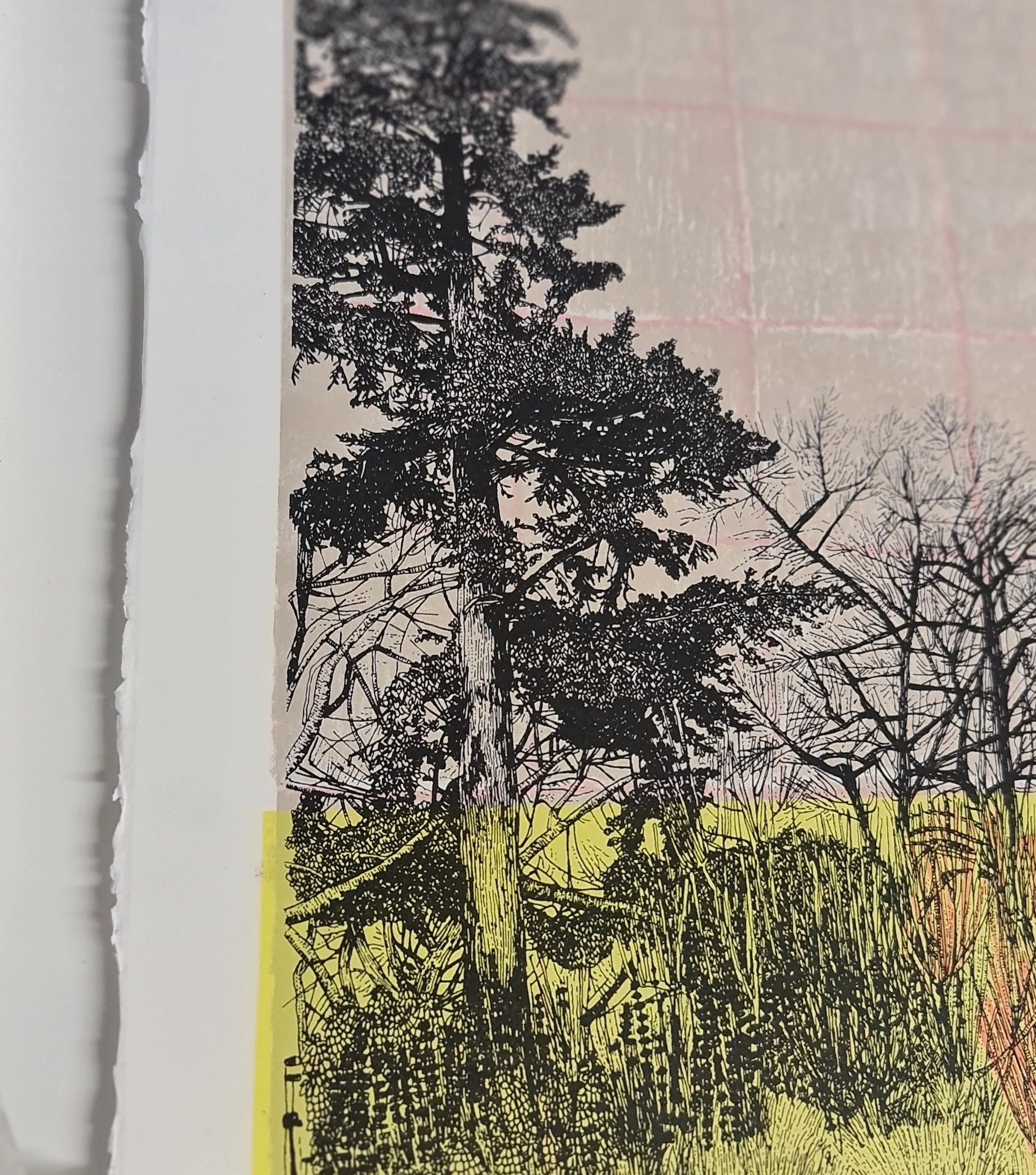 Clare Halifax - Above The Tree Tops detail.jpg