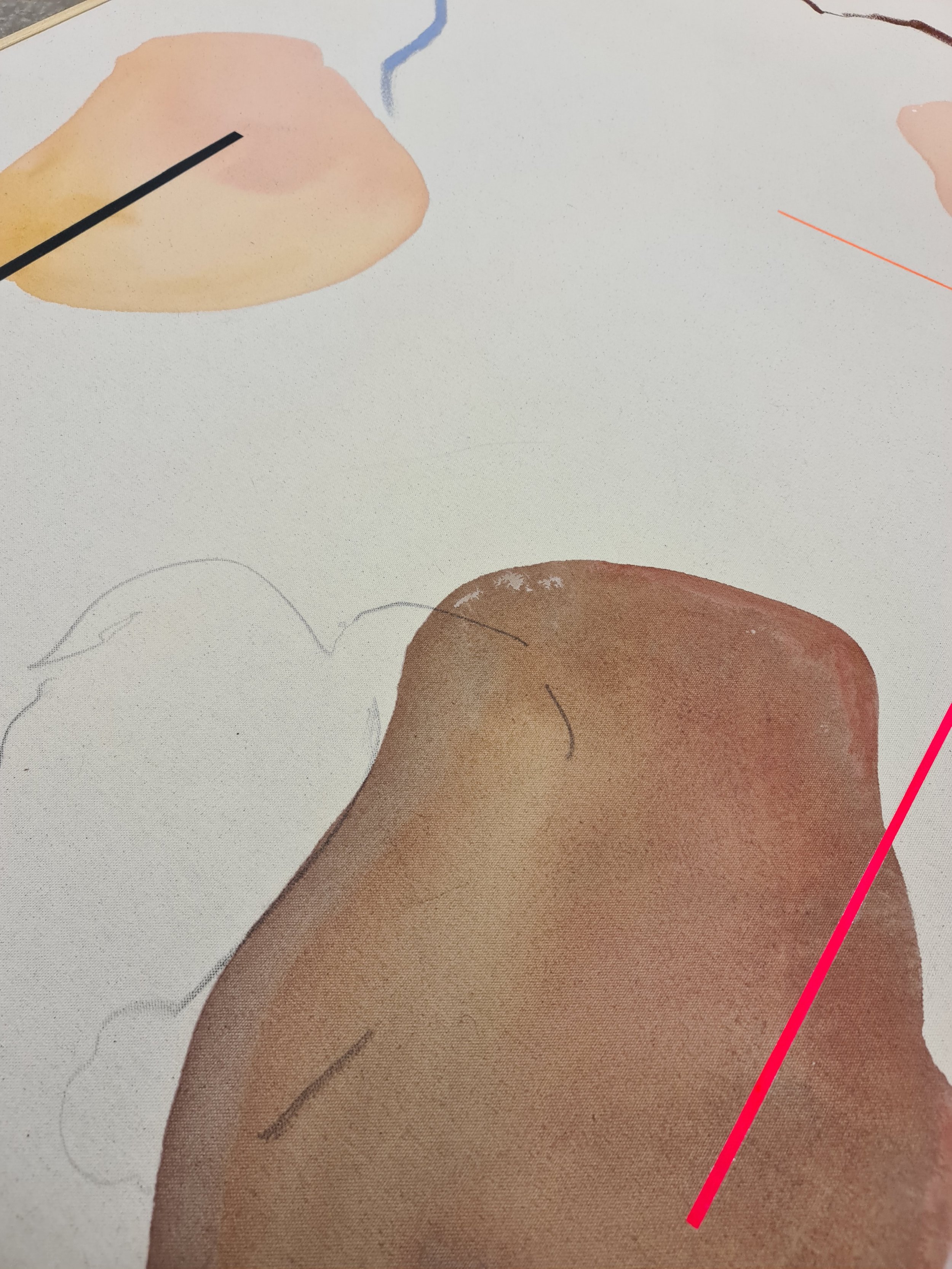 Anna Macdonald - Ghost Gum II detail.jpg