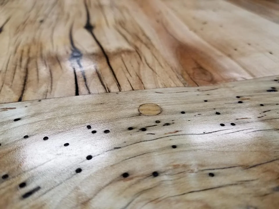 35839084_1822596887786821_199644330619568128_n-2.jpg