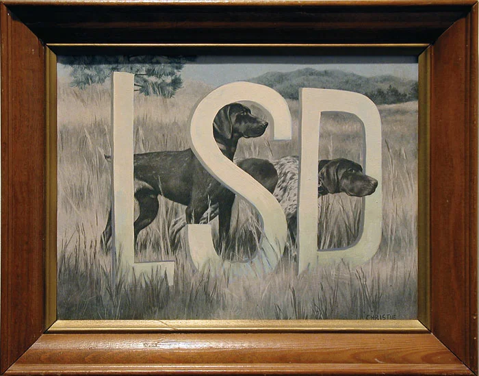 3_lsd.jpg