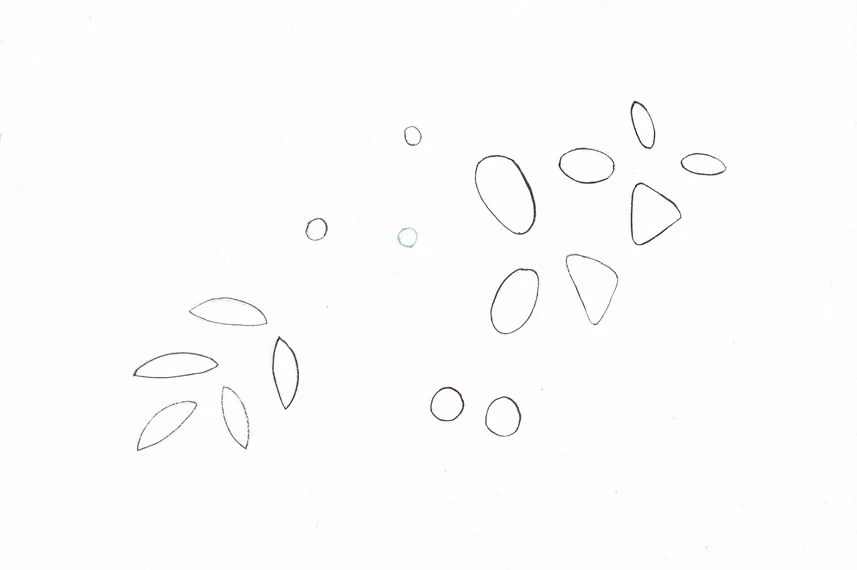 Day six