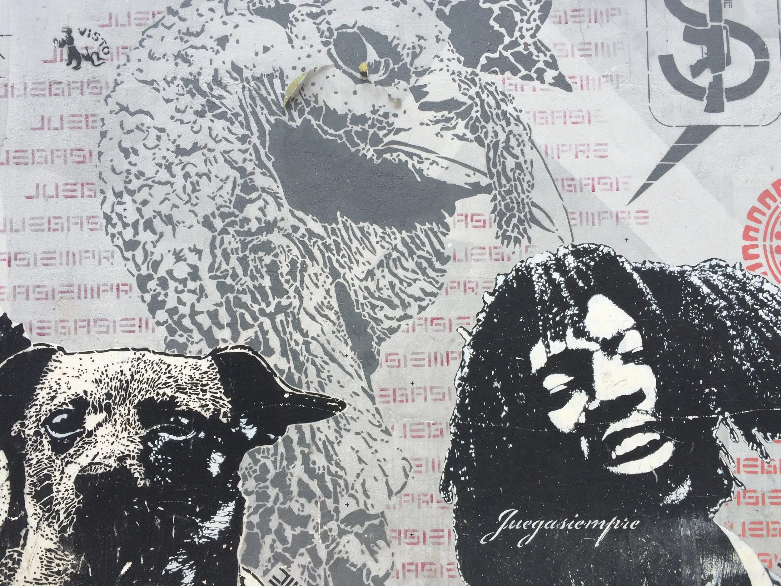 Street Art in our Grafitti Tour in Bogotá, Colombia