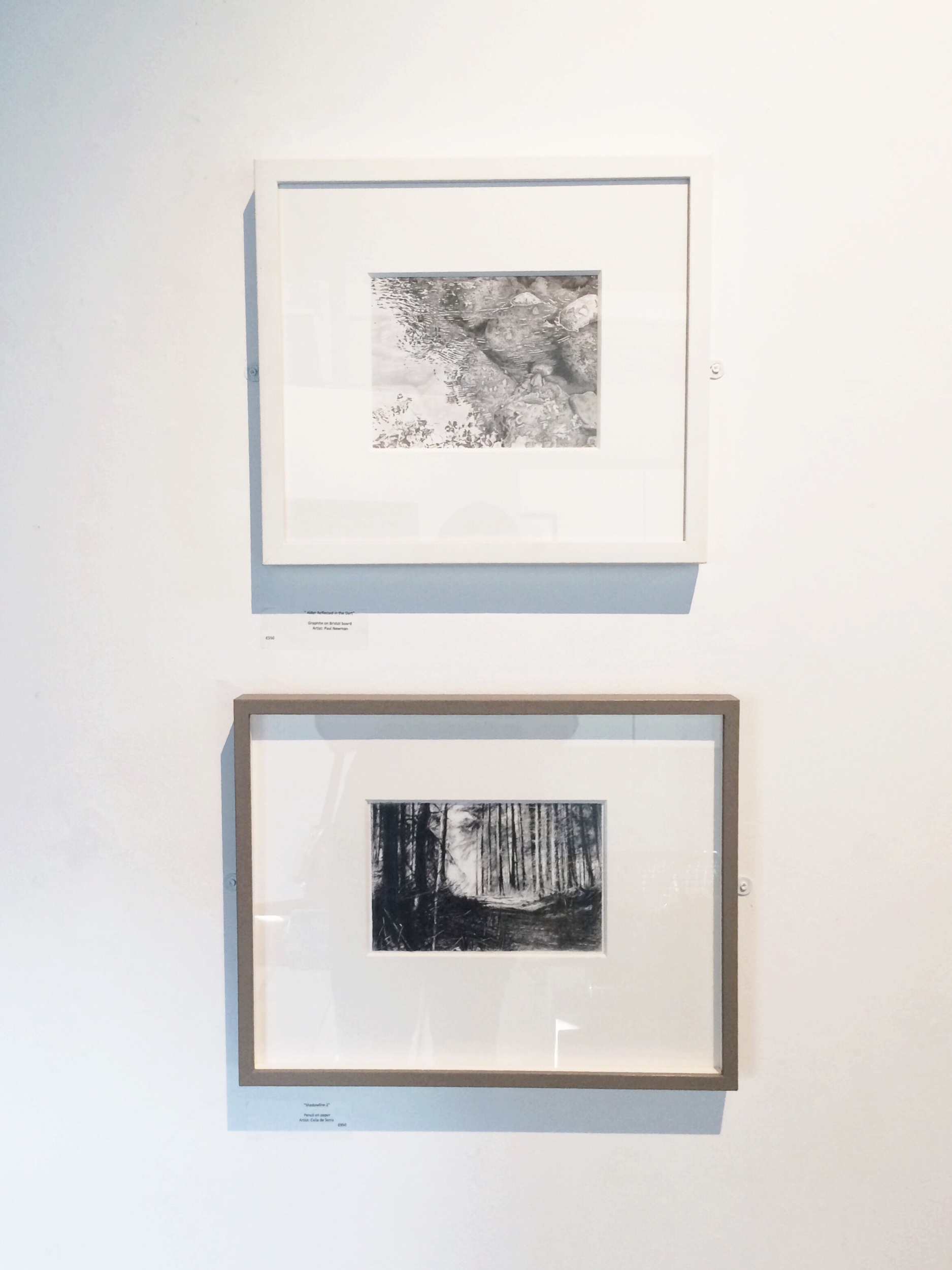 Above: Alders Reflected in the Dart, graphite on board by Paul Newman | Below: Shadowline 2, pencil on paper by Celia de Serra