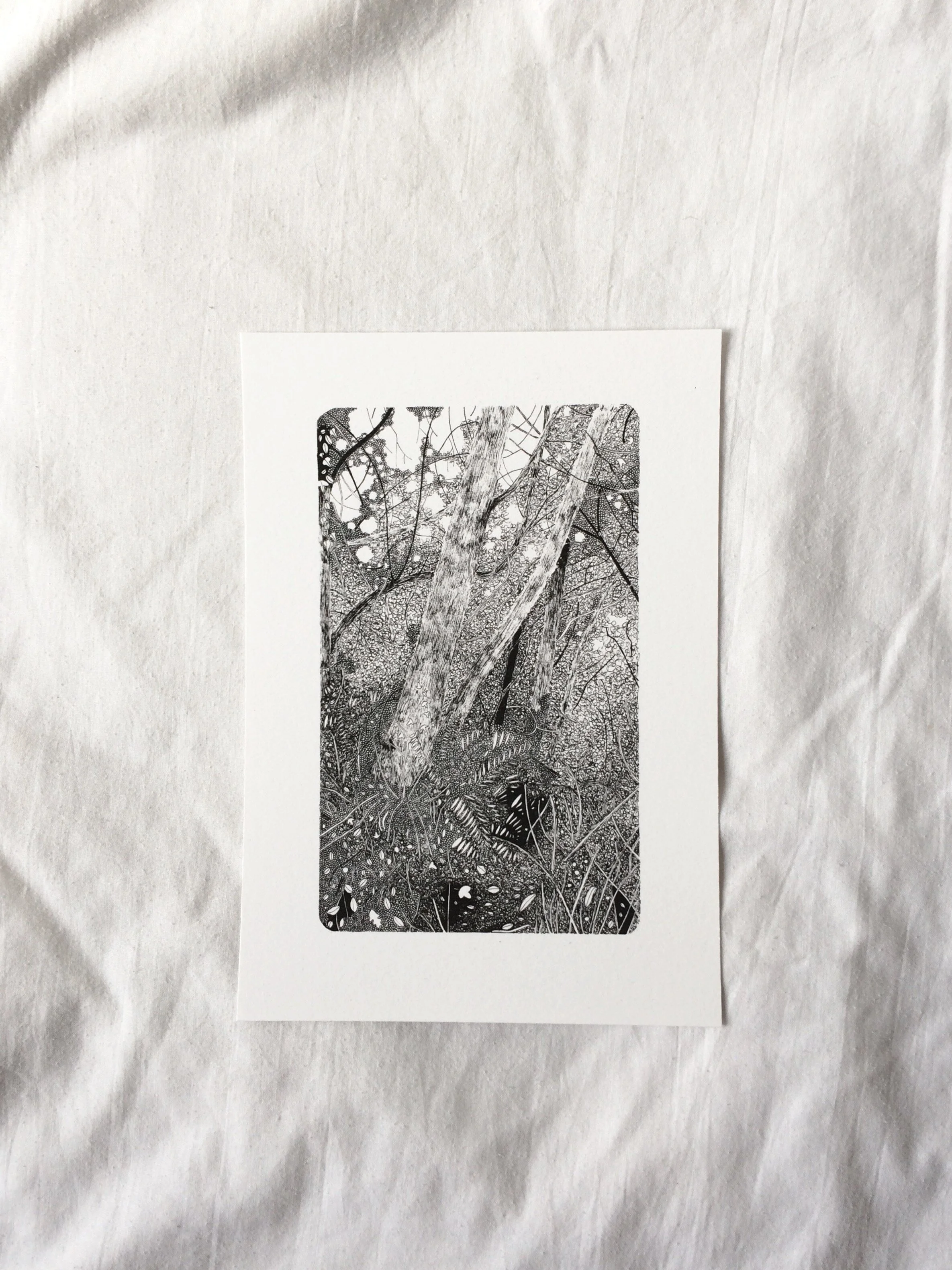 4C294A6B-F271-4200-87C0-0F7DB25D49B6