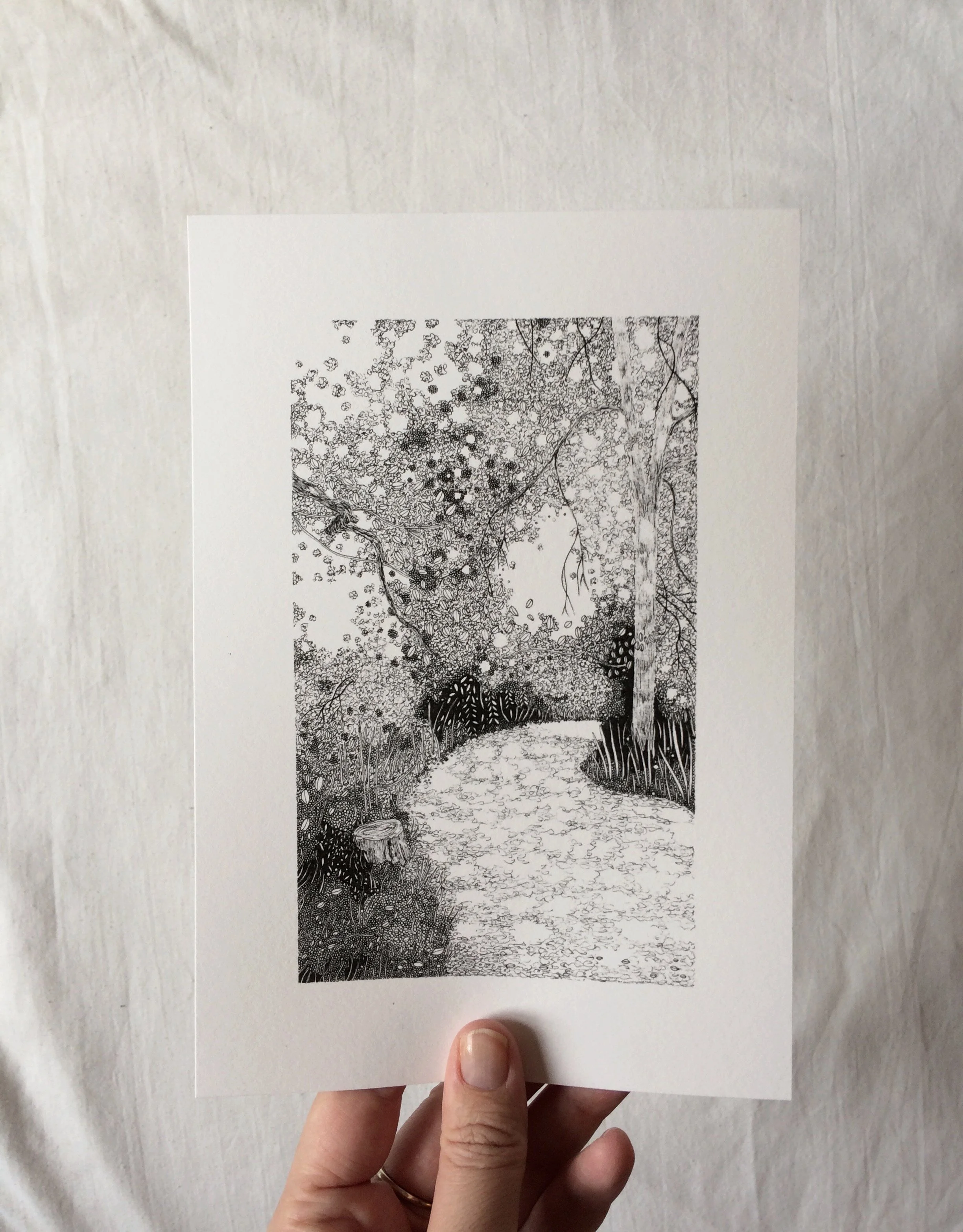 AF865E83-F064-4E0A-B802-A45C42B87CF5