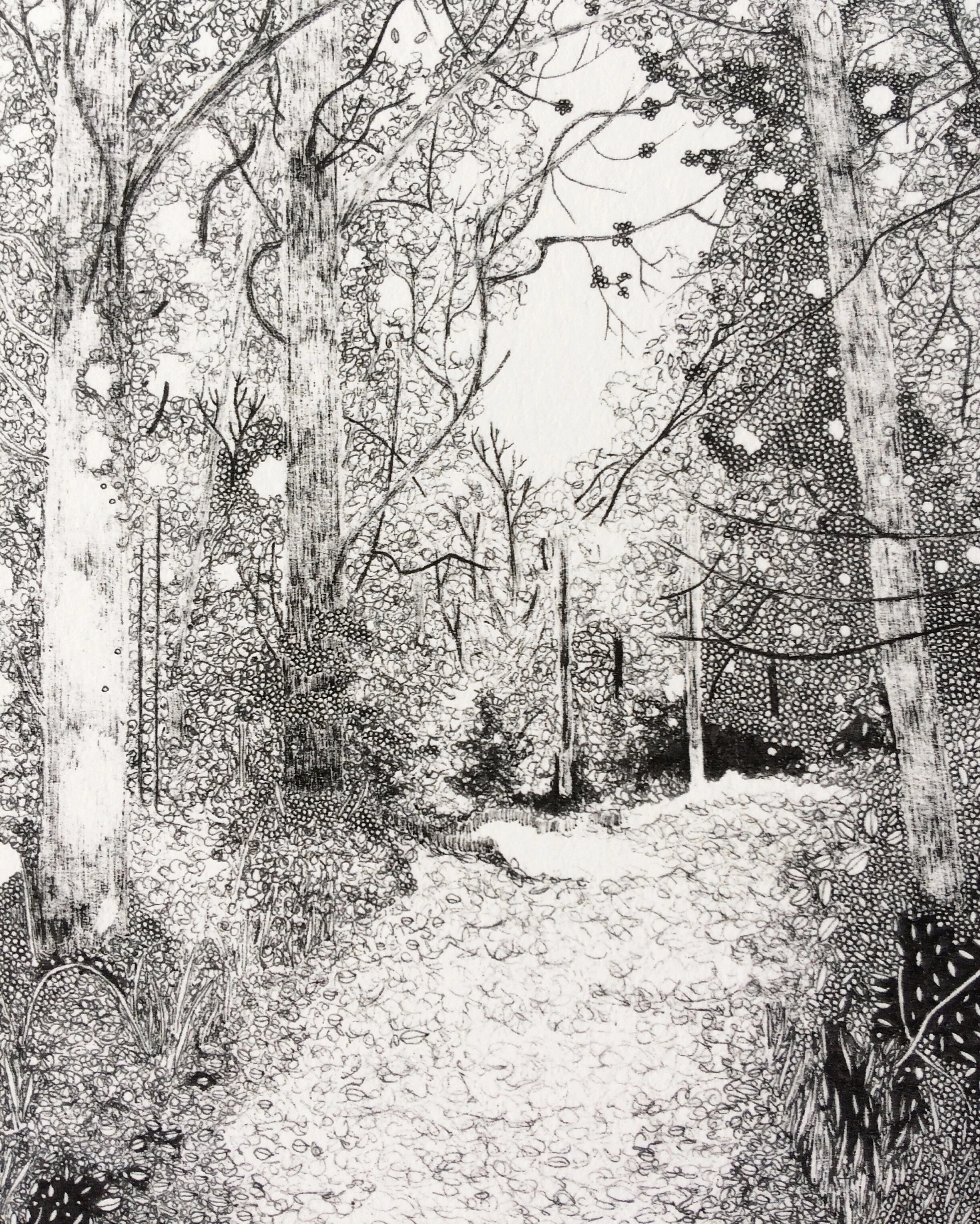 3DB89169-F5DA-4183-873A-1165B11030F5