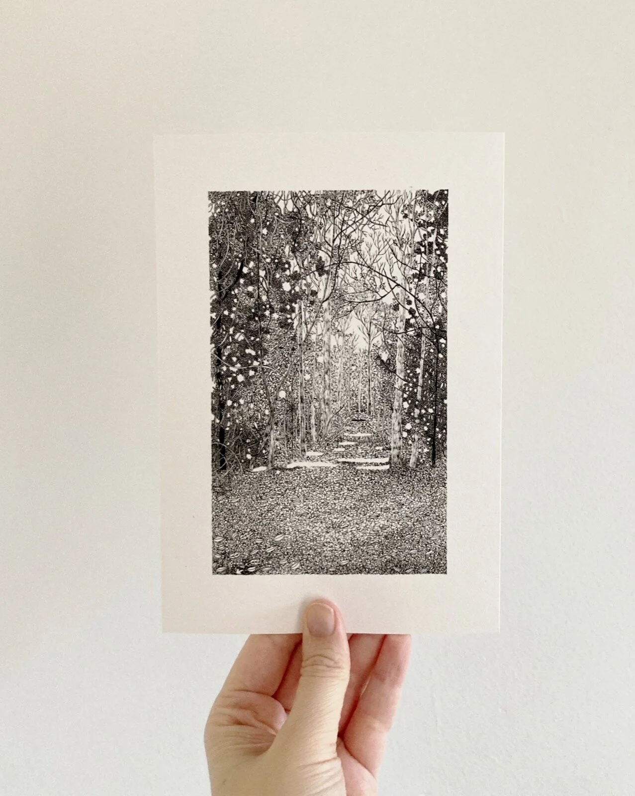 C6F76970-EA5D-425A-8B1C-3B8C6C437A30