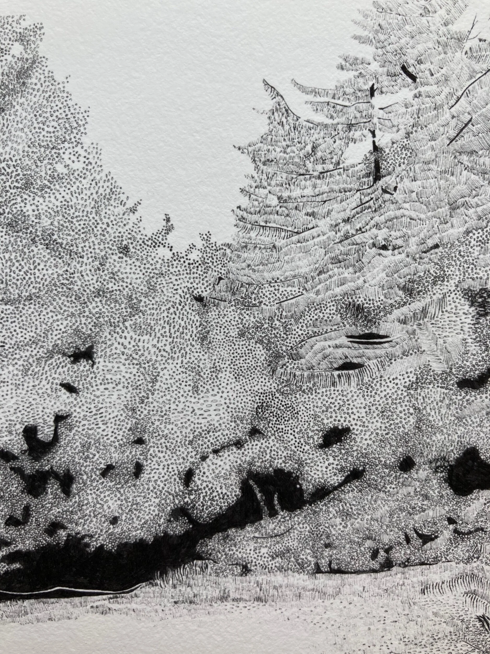 14E96B5E-C313-4E37-9760-D9B93025C991