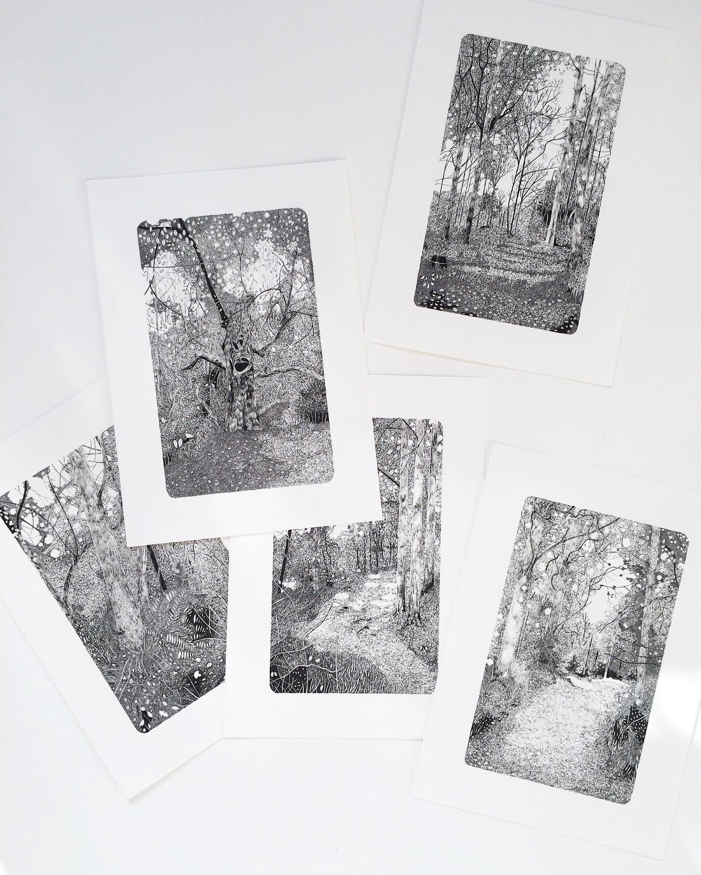 I&rsquo;ve spent the week with my little family in the Forest of Dean, my childhood happy place and inspiration for many of my drawings including these early &lsquo;woodland studies&rsquo;. I&rsquo;ve taken hundreds of photographs of the woodland tra