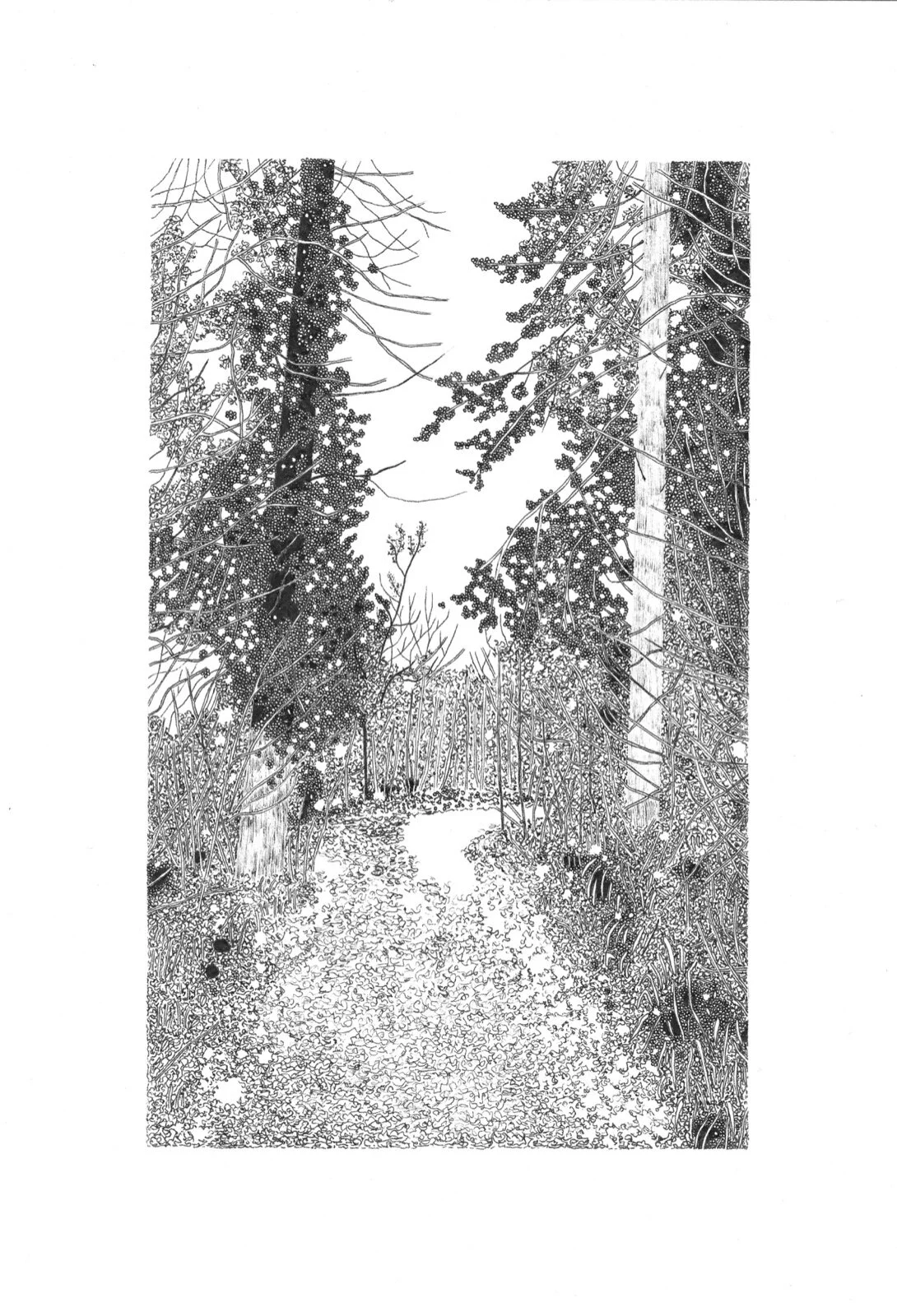 0B2C70F5-F28E-4BBE-9B7E-2E017B548B43