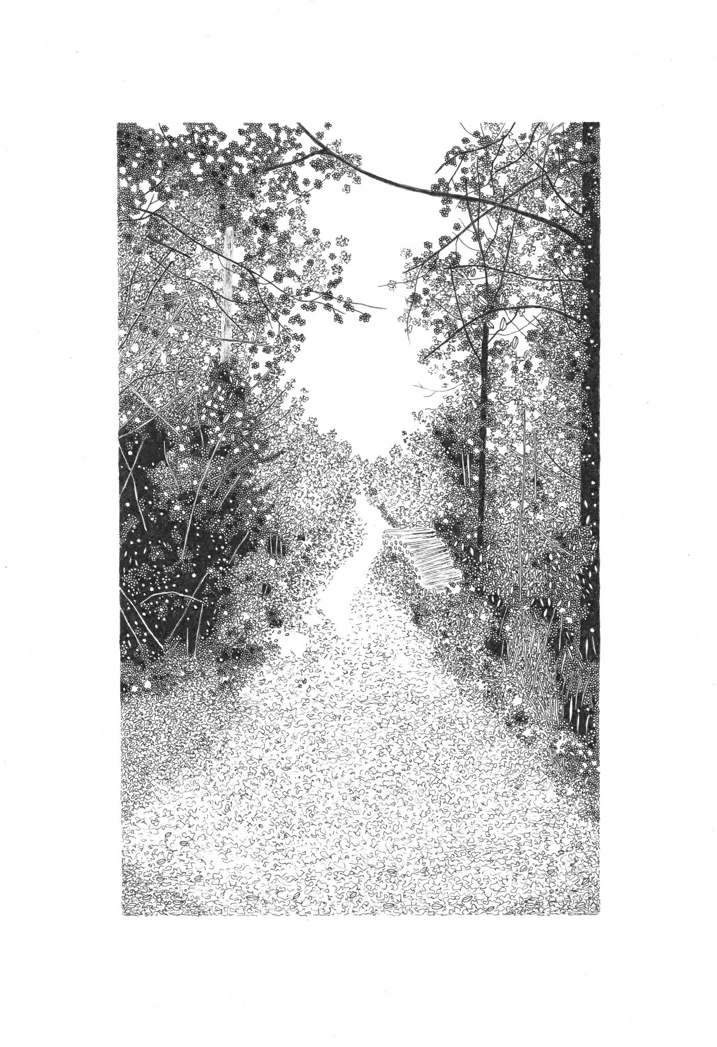 90B6962B-FA6F-4CDD-BF1F-90C47D254824