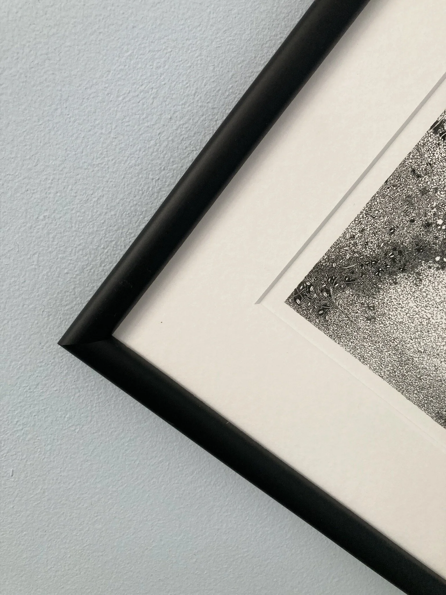 FF1B8718-AF09-4C68-B47B-CF077D68EE50