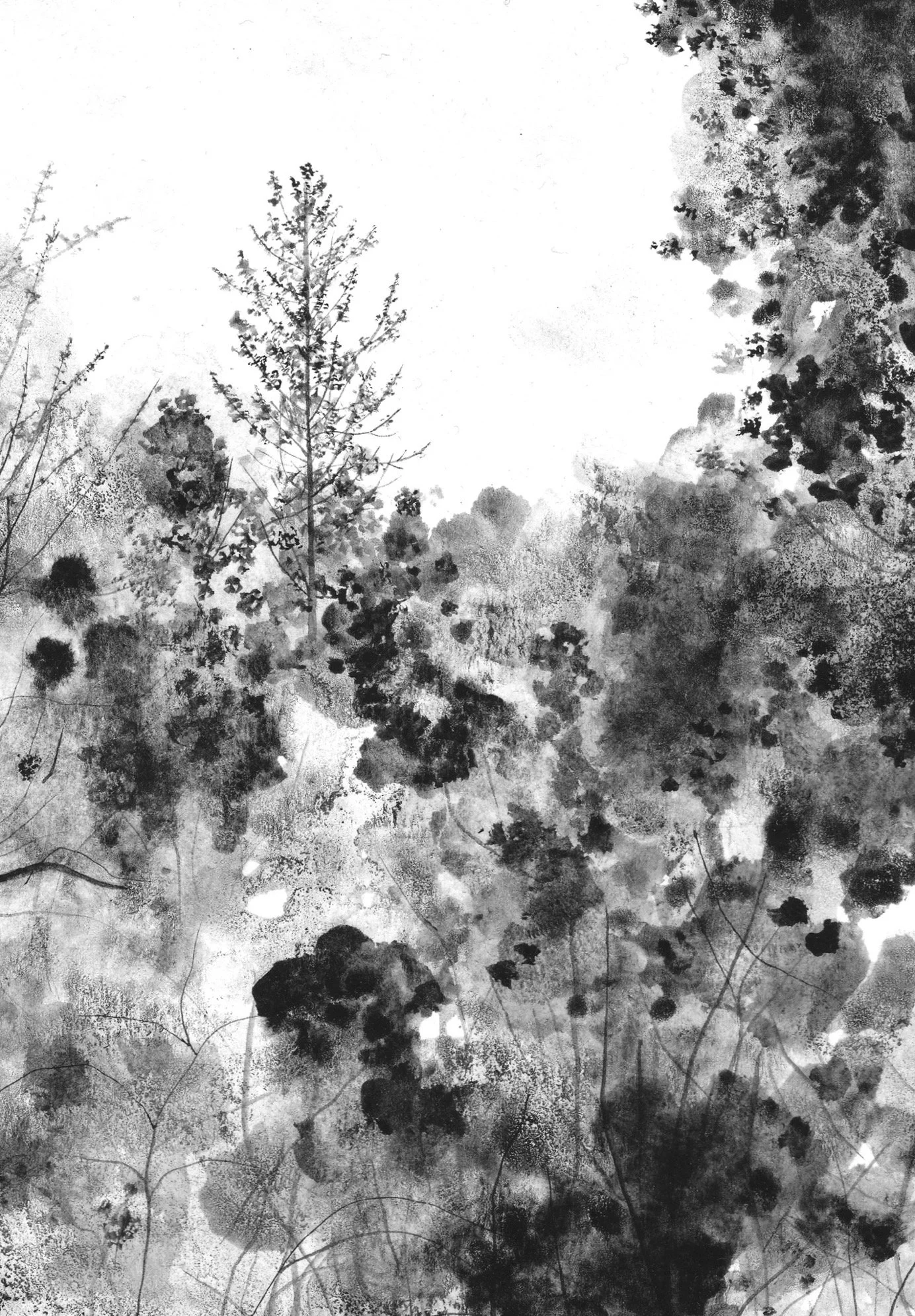 1C127694-8857-45CE-8A34-49230C7611A9.jpeg