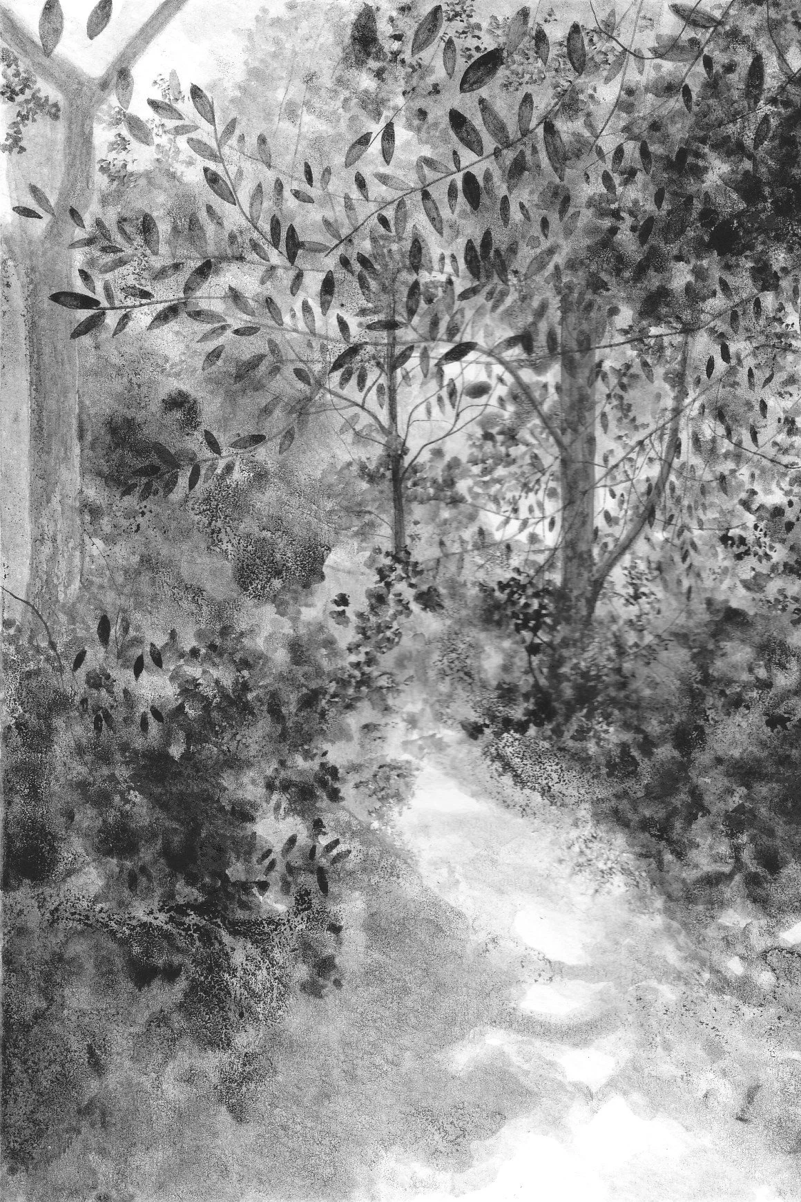 An August Afternoon