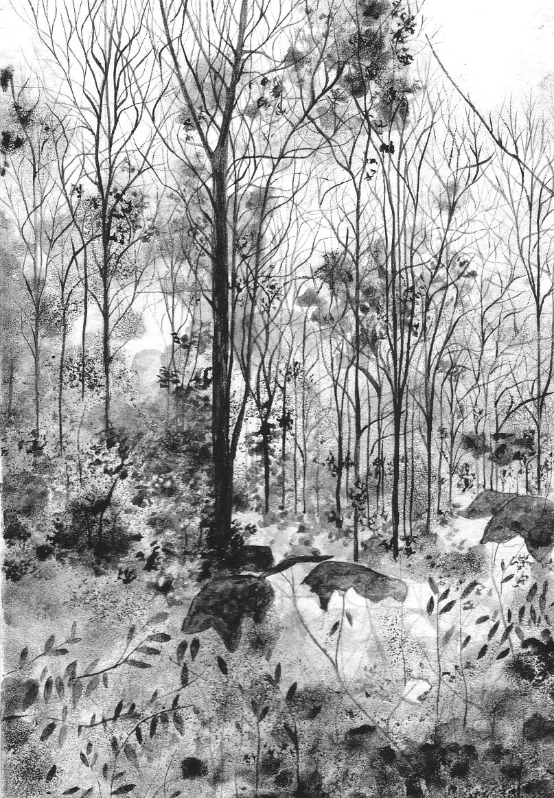 Micheldever Woods in April II