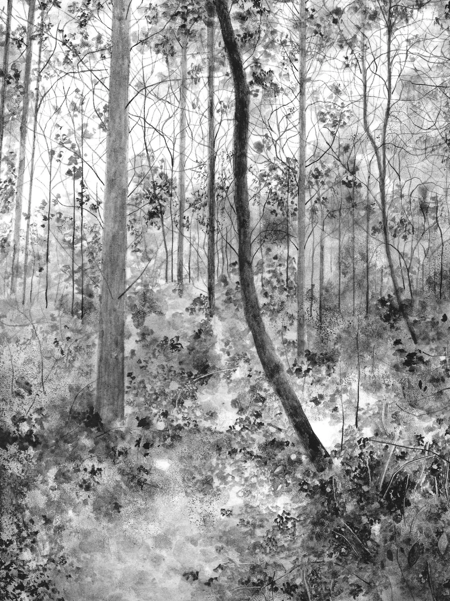 The Forest in November, 15cm x 10.5cm, ink on paper. The last drawing of 2025, which was quite a prolific year - many ink drawings made with a few watercolours thrown in at the end too. I&rsquo;m yet to draw anything this year so far, for a few reaso