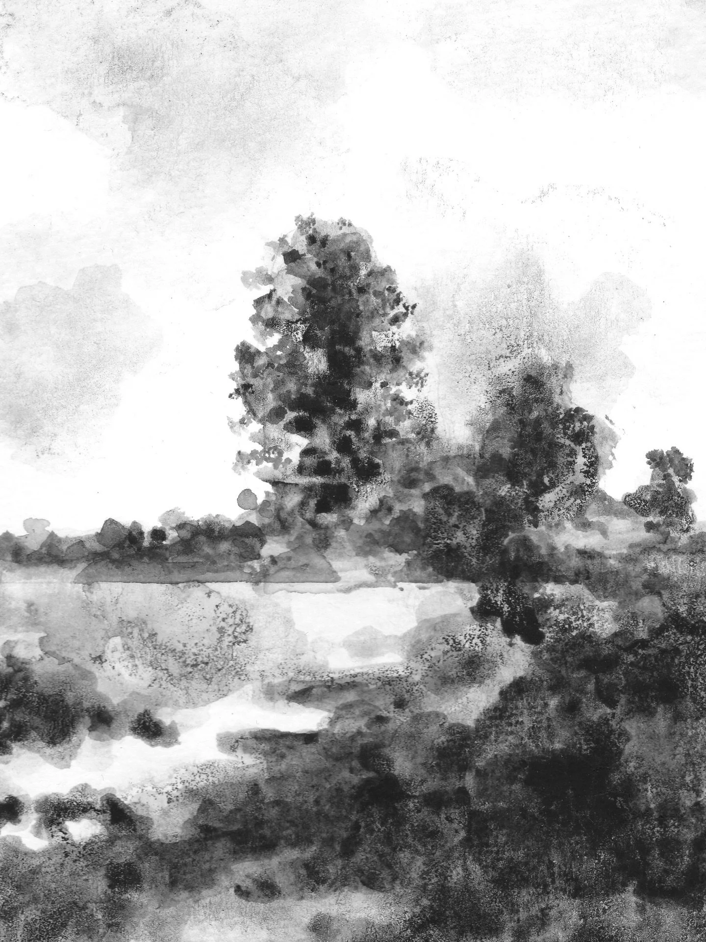 Oak at Lacock Abbey, 15cm x 10.5cm, ink on paper. 

Available at claireleach.com/shop for &pound;220 plus postage as part of @artistsupportpledge. 

#artistsupportpledge