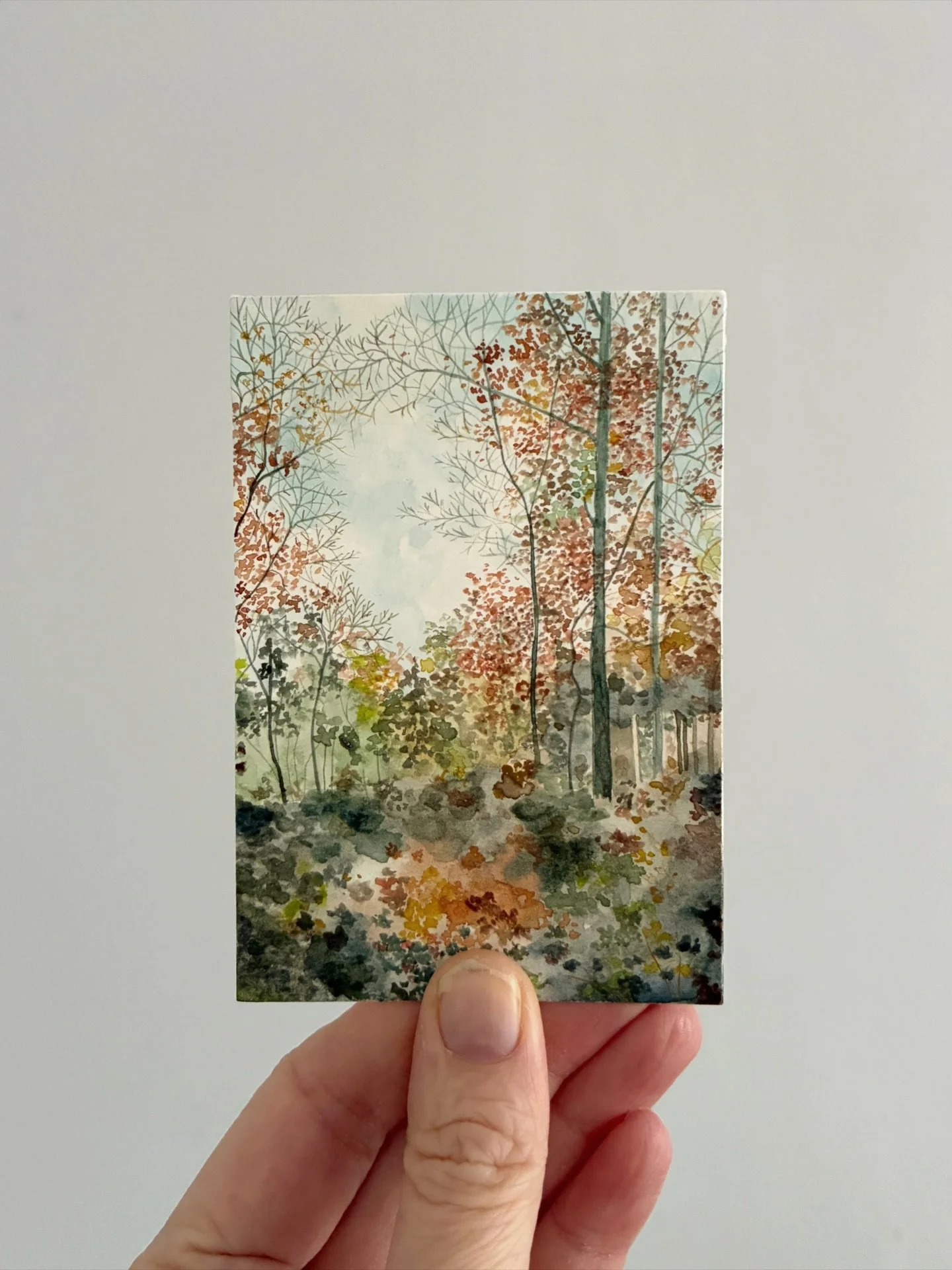 One of my last paintings of 2025, from a series inspired by autumn colours in the woods. There are a few available for &pound;140 each at claireleach.com/shop. 🍂