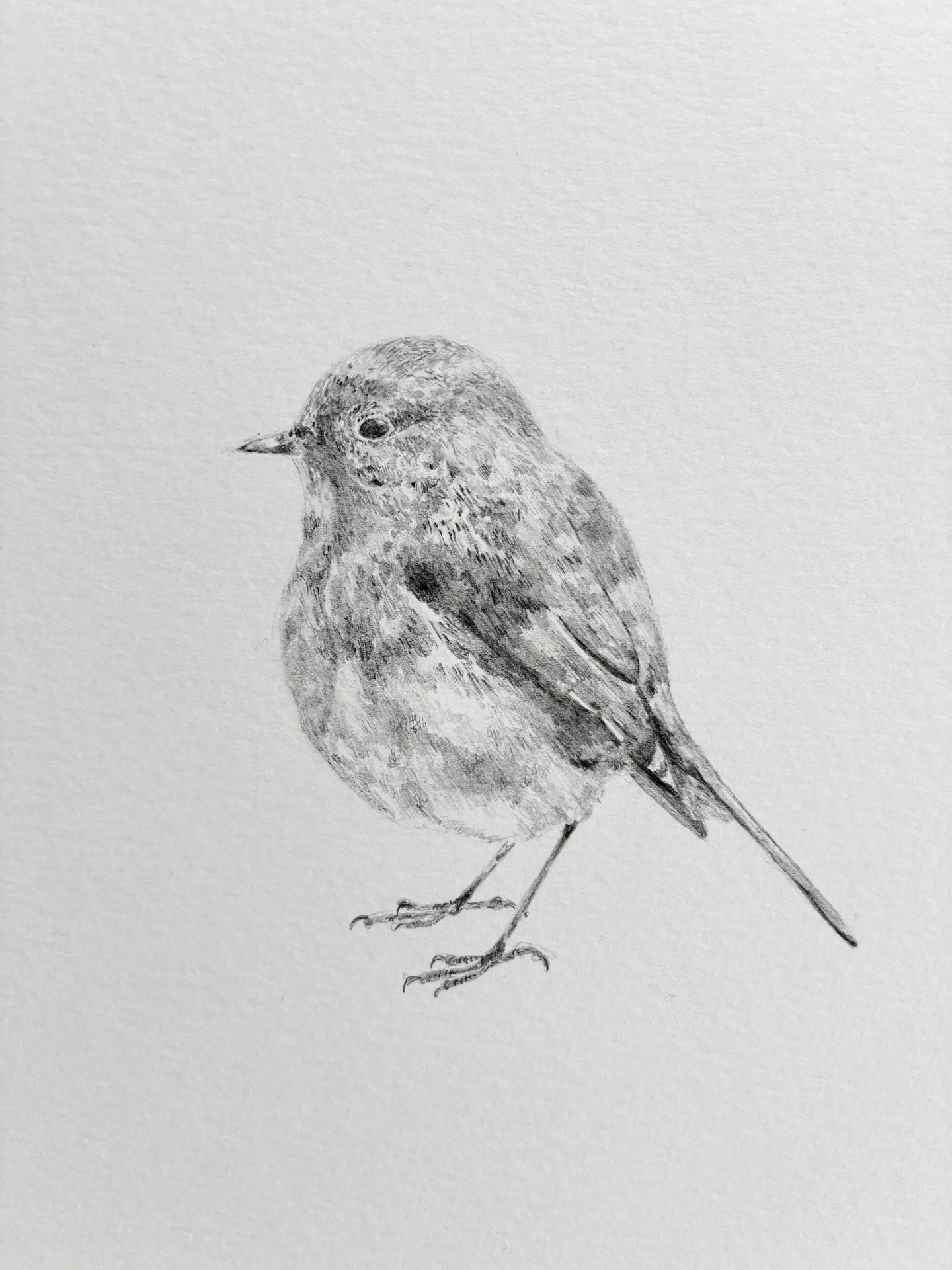 A sweet little robin drawn for my lovely nanny. 🐦&zwj;⬛