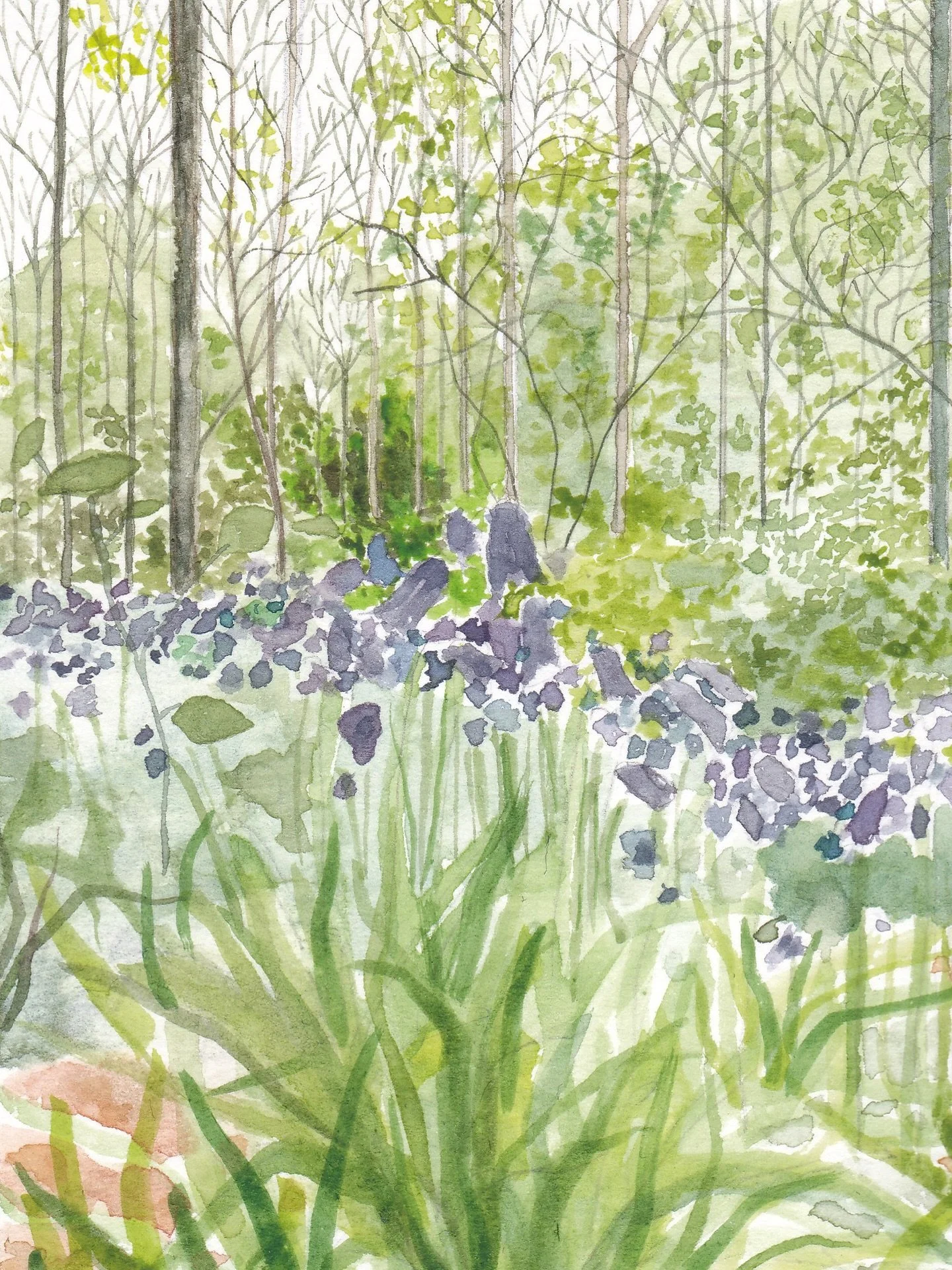 I made this painting late last year but I&rsquo;ve only just realised that I didn&rsquo;t list it in my shop, it&rsquo;s there now alongside another new watercolour painting. They are &pound;140 each. 🎨