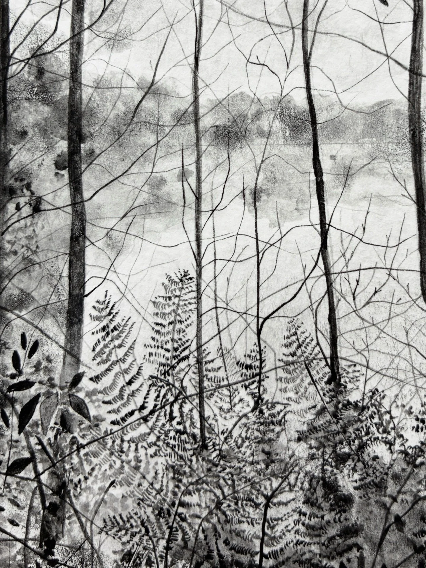 Detail from a work in progress I started this week. It&rsquo;s taken what&rsquo;s felt like an age but I&rsquo;m finally feeling motivated to draw after a tricky January which I&rsquo;m quite frankly happy to see the back of! Today is a chore day at 