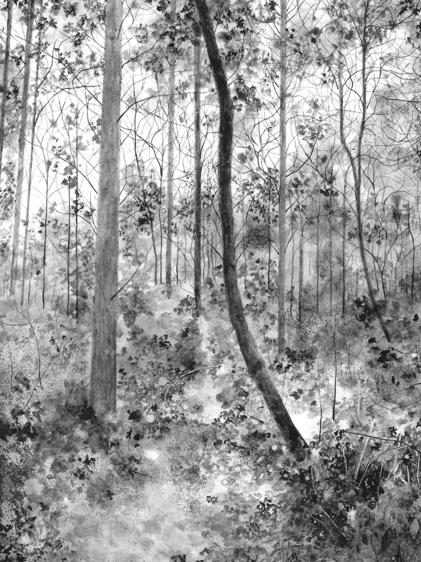 My studio sale ends Sunday. Don&rsquo;t miss out on these bargain prices, the lowest I can go. Head over to my website to take a look, link in bio. 🌿 And if you&rsquo;re happy to share please do! Not many views on my stories at the moment - thanks I