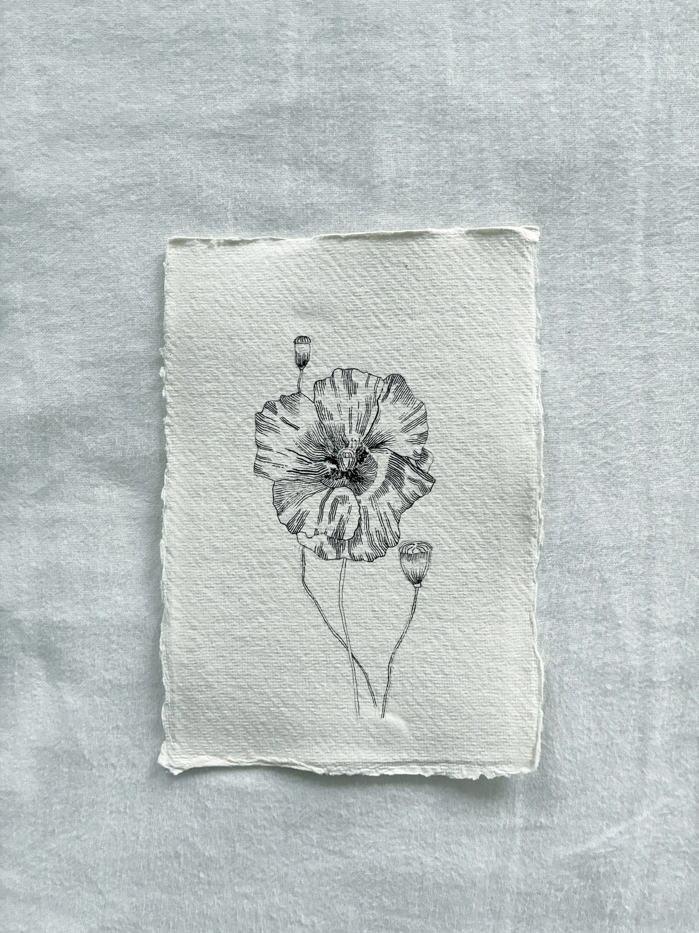 A pretty poppy. 🌷 Available at claireleach.com/shop [link in bio] for &pound;30 plus postage.