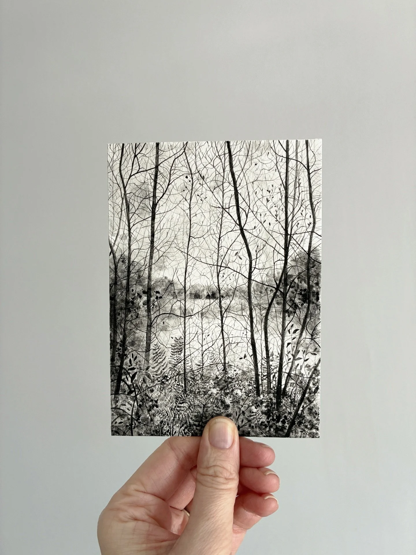 Finished I think! Title suggestions welcome. 15cm x 10.5cm, ink on paper. Inspired by an autumn walk at Cannop Ponds in the Forest of Dean.