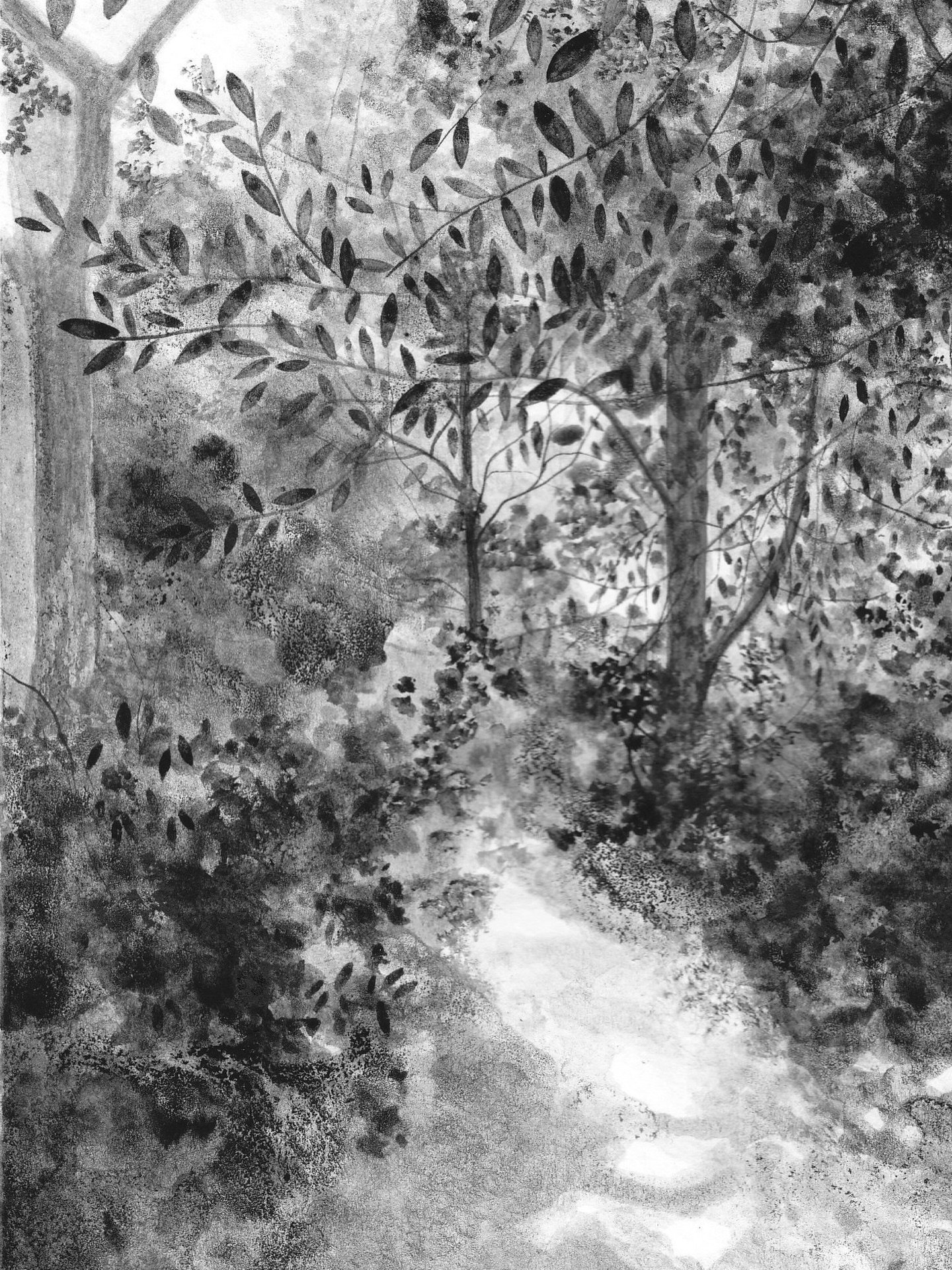 An August Afternoon, 15cm x 10.5cm, ink on paper. Available to purchase via my shop; claireleach.com/shop. Full of light and leafy details, inspired by a walk on a summers day @lacocknt in Wiltshire. 🌞