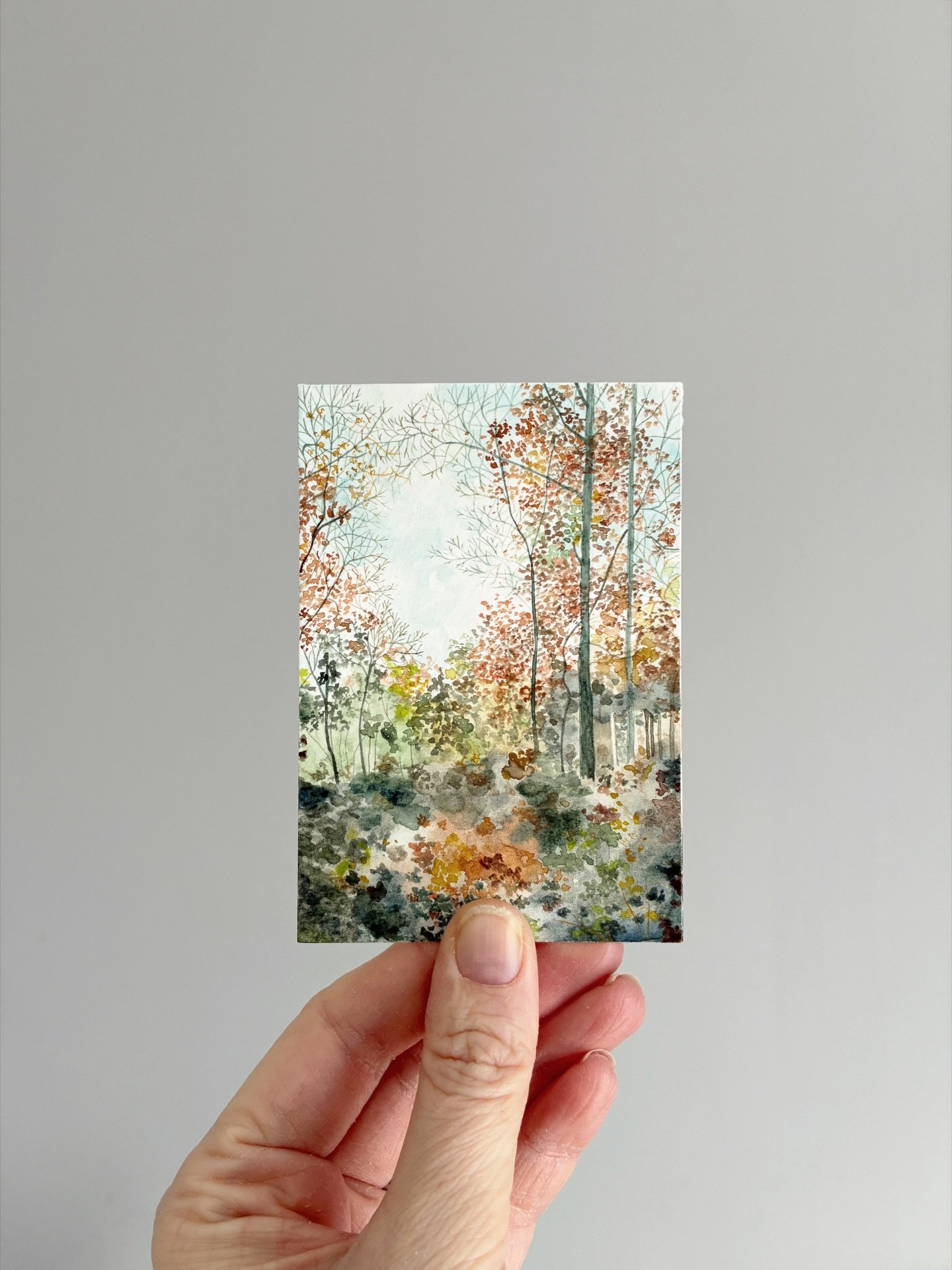 A sweet little watercolour inspired by autumn in the forest. 🍂 Available at claireleach.com/shop for &pound;140 plus postage.