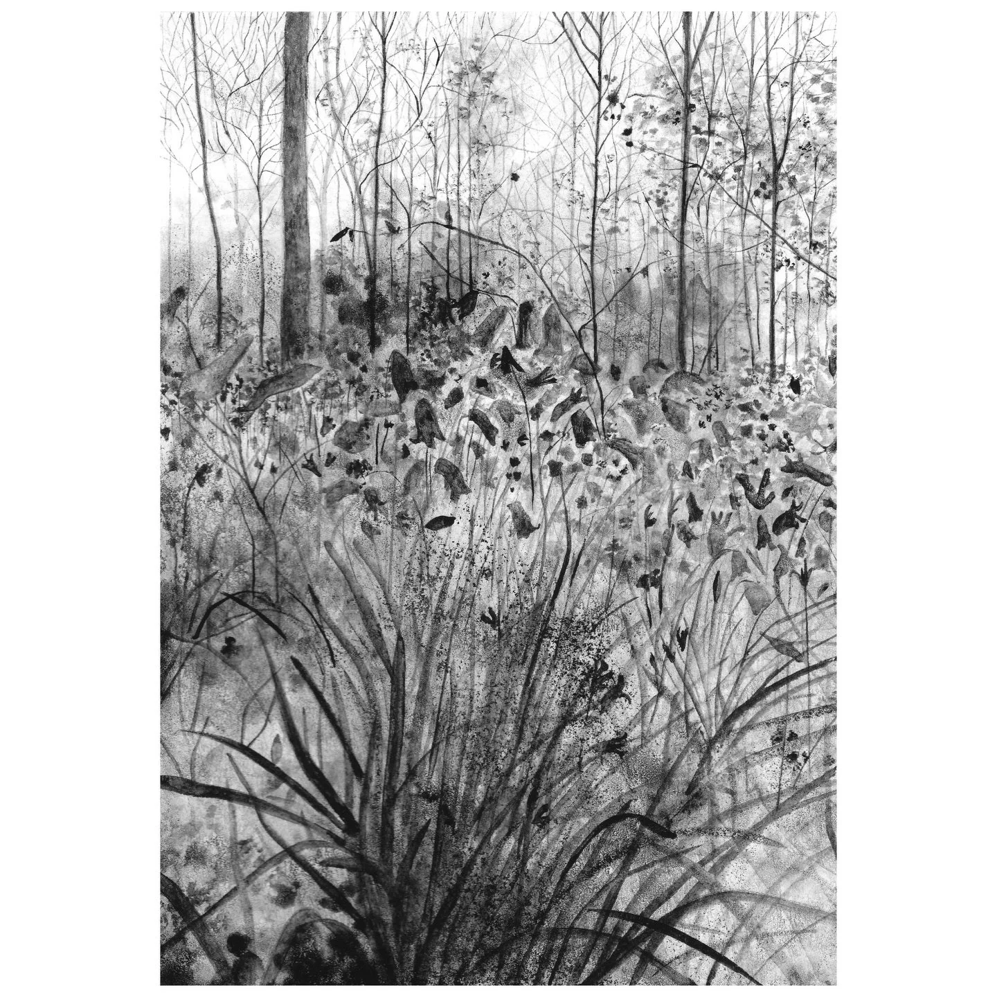 Happy spring equinox! 🌷

#springequinox #springhassprung #bluebells