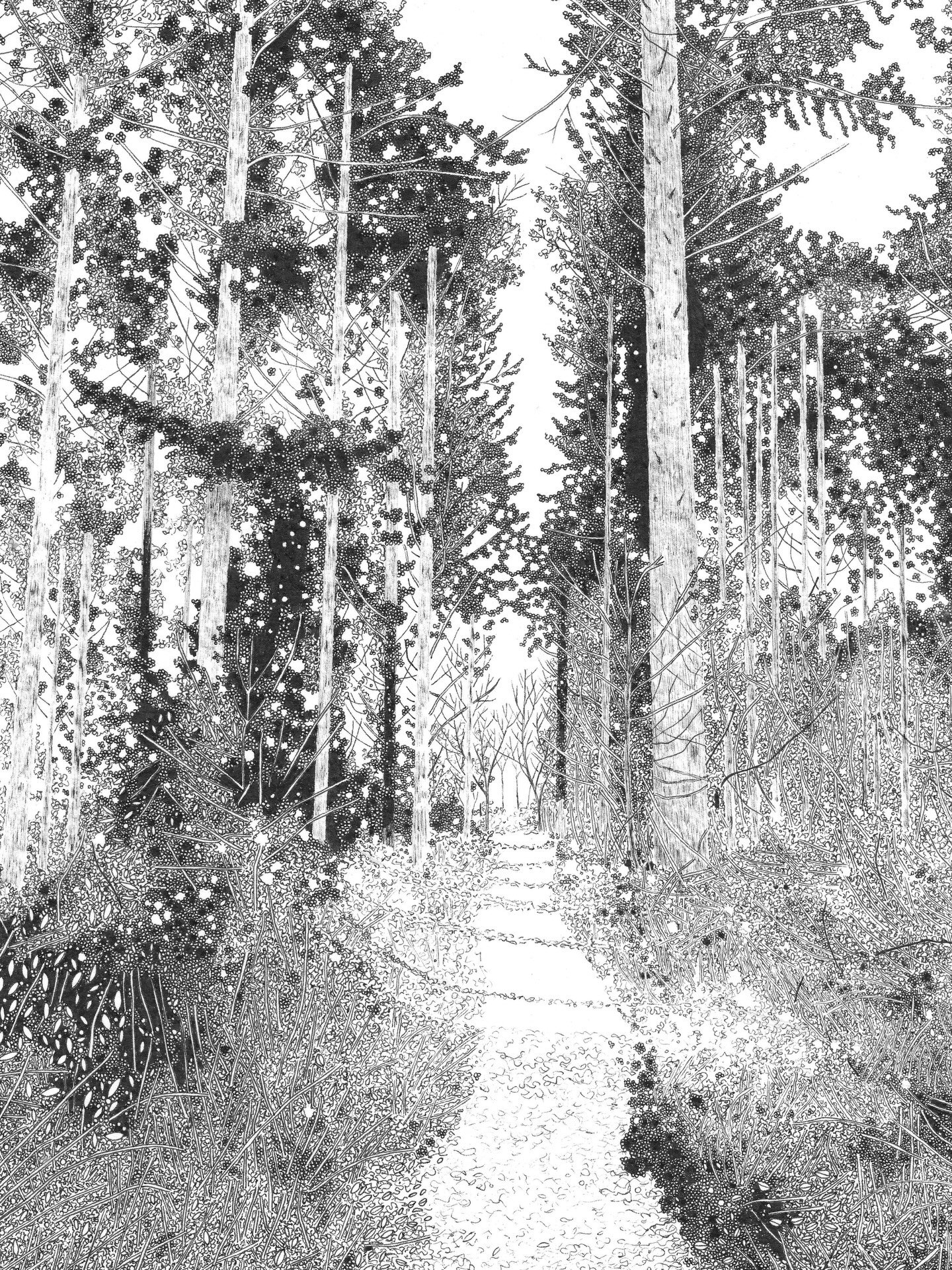 Cathedral was a drawing that I made for an exhibition in Marlborough in 2024, the original which I&rsquo;d been working on for many hours sold at the private view which was such a lovely affirming feeling. I had gicl&eacute;e prints made at the time 