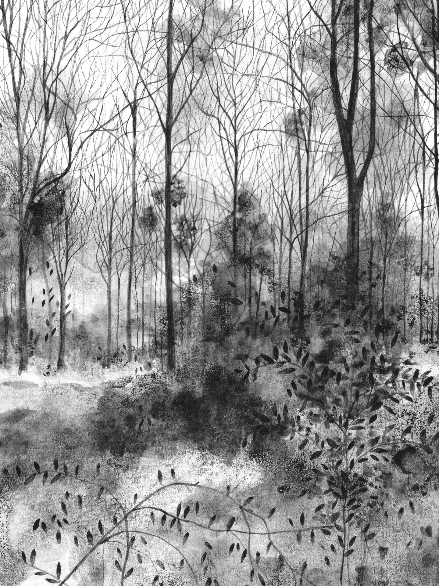 Micheldever Bluebells II, 15cm x 10.5cm, ink on paper. 
@artistsupportpledge