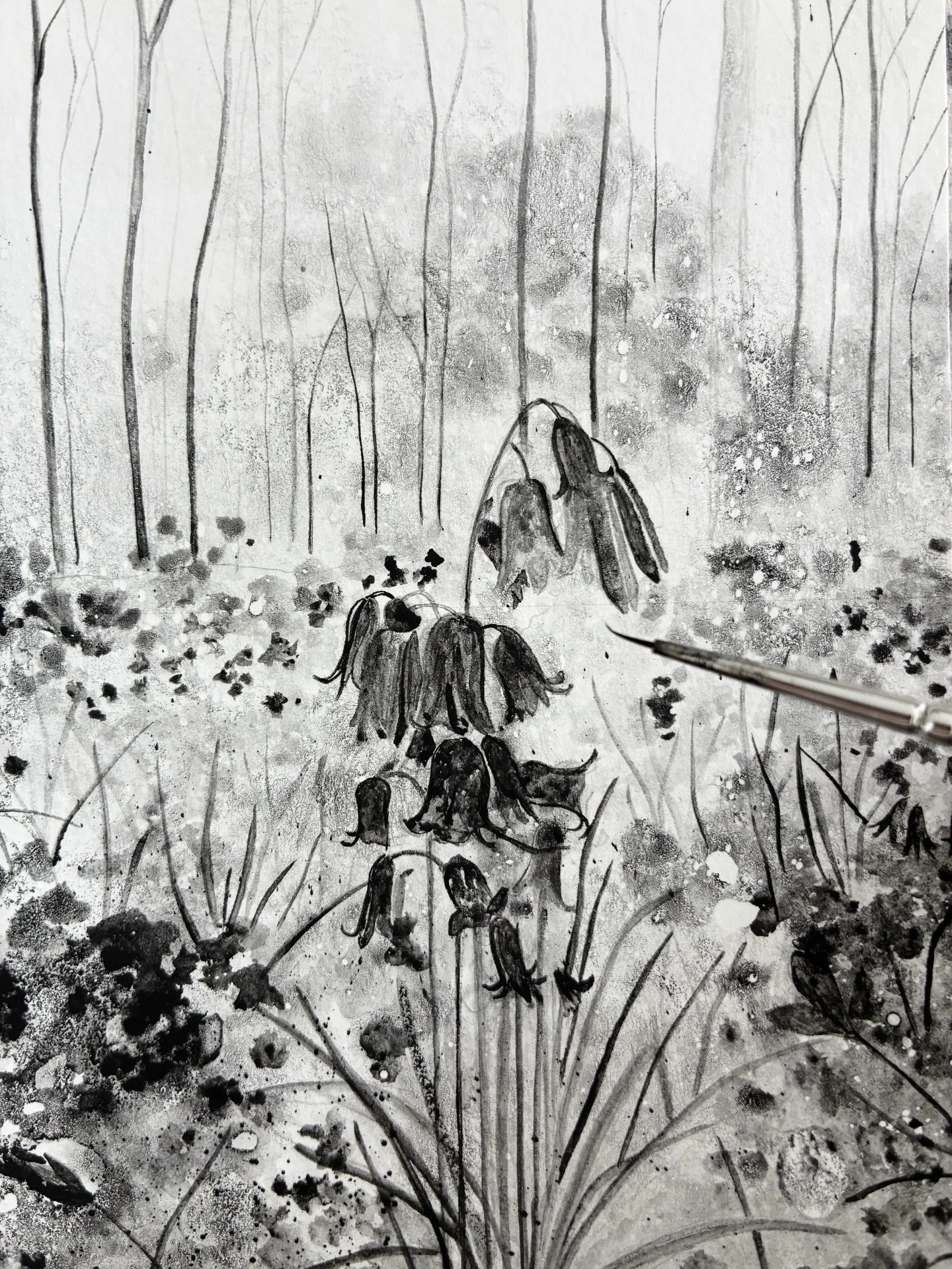A current work in progress, bluebells in the wood. This drawing is inspired by a photograph I took a couple of years ago. Swipe across to see this year&rsquo;s bluebells, taken on a walk on Sunday. 💙