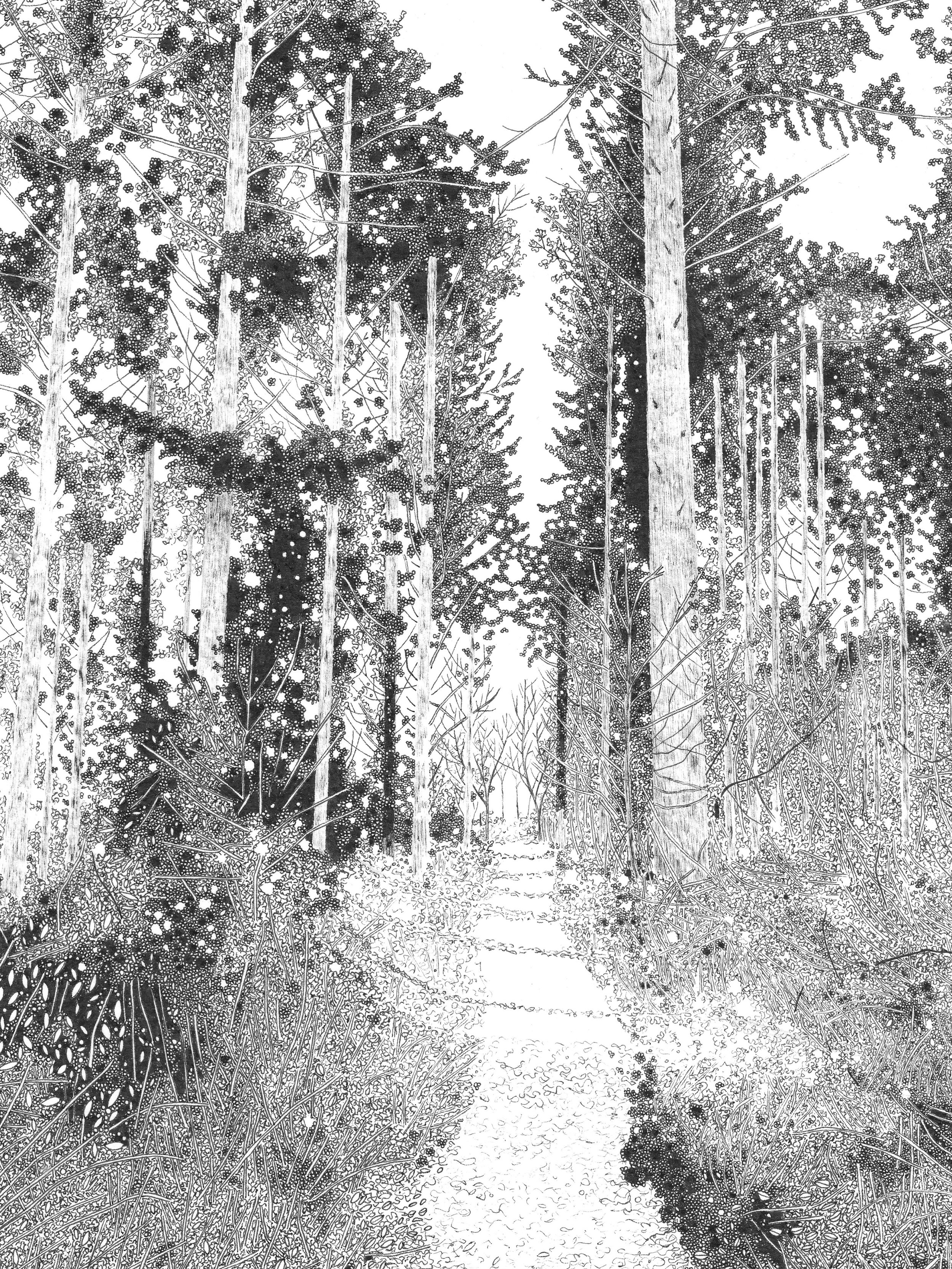 A brilliant way of introducing art to your home in an affordable way is via gicl&eacute;e prints. They&rsquo;re high quality but a fraction of the cost of an original piece. I sell prints from &pound;30, the drawing pictured is called Cathedral and i