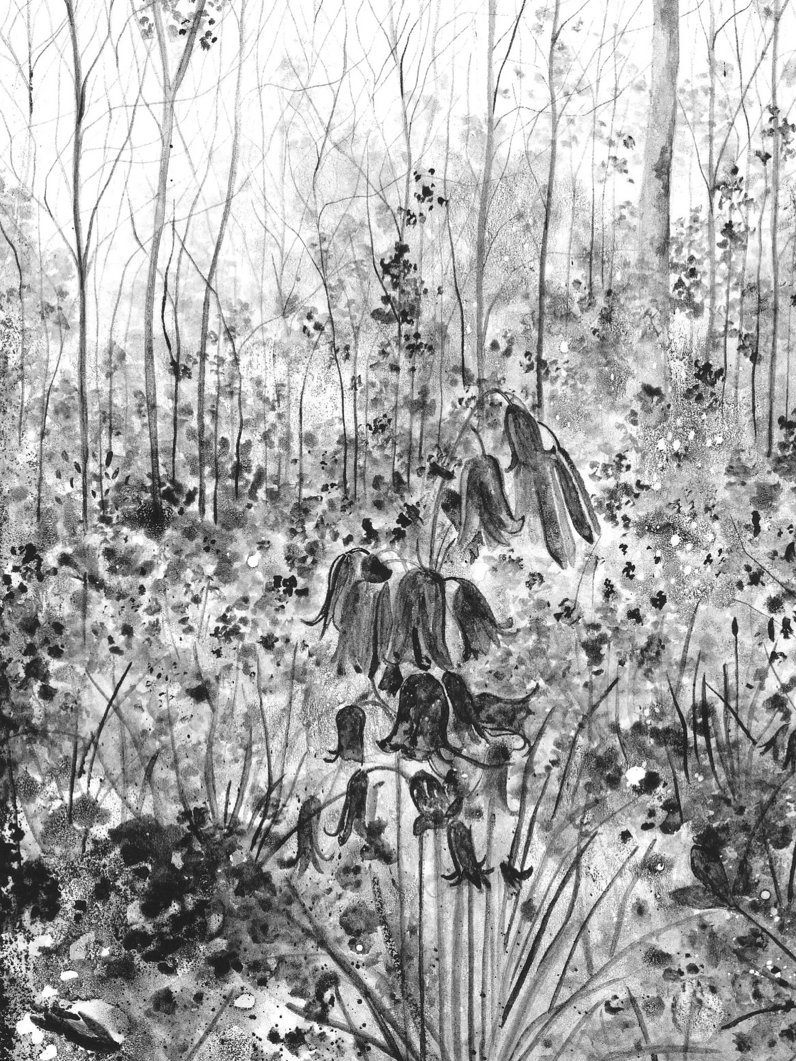 An as yet untitled new bluebell drawing. 🌷