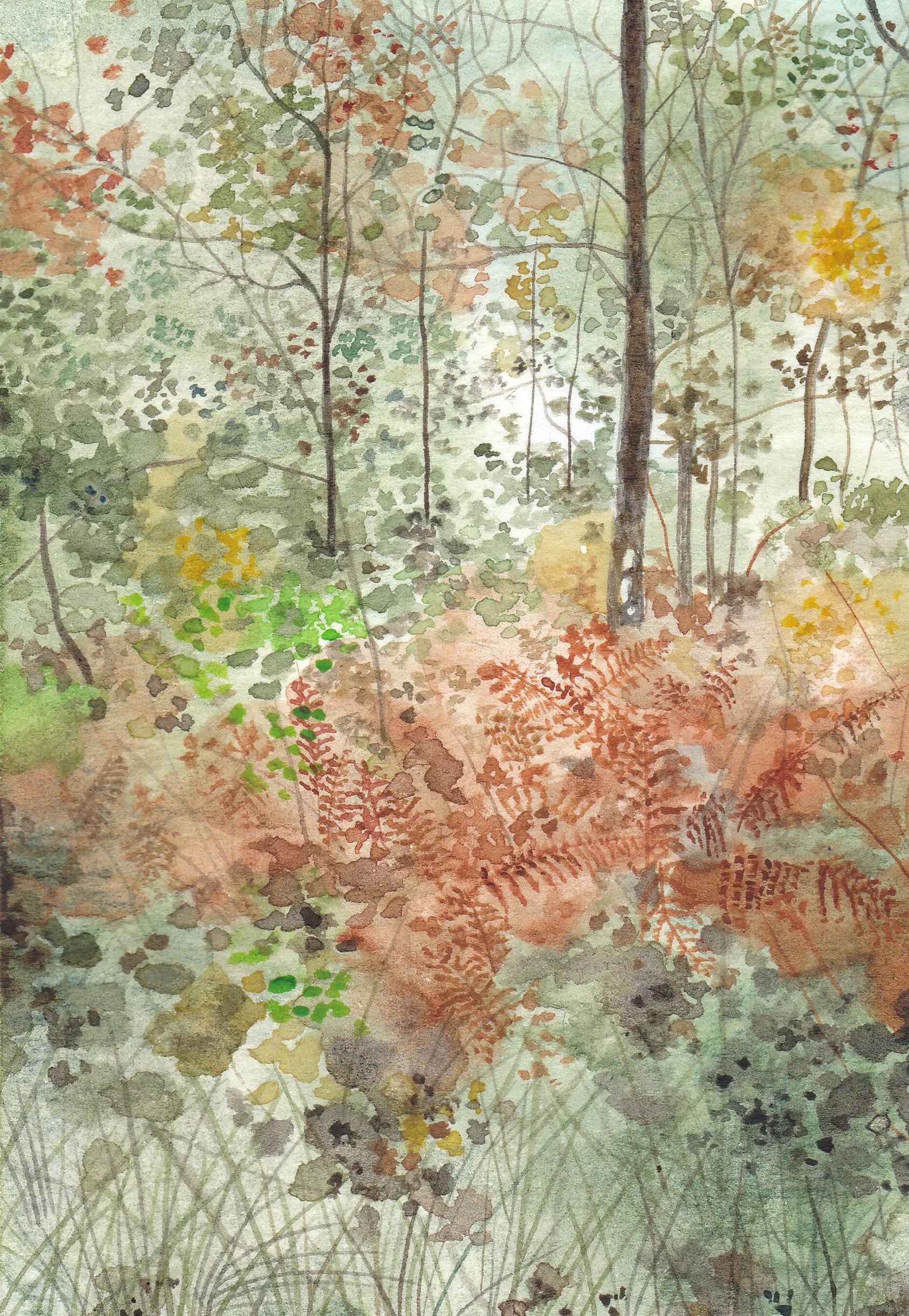 Forest of Dean Colour Study II Original Painting by Claire Leach