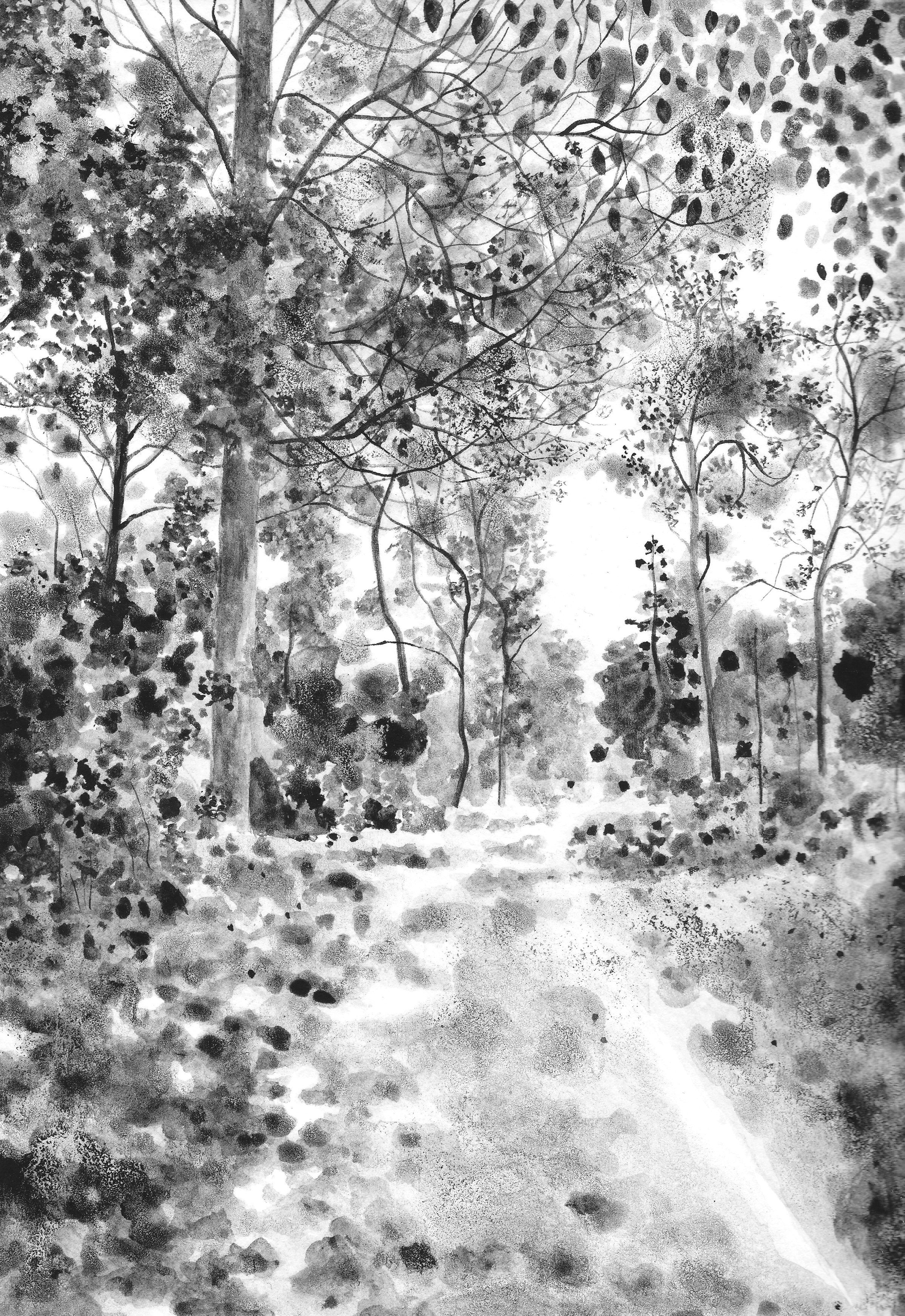 Sandringham Summer Original Drawing by Claire Leach