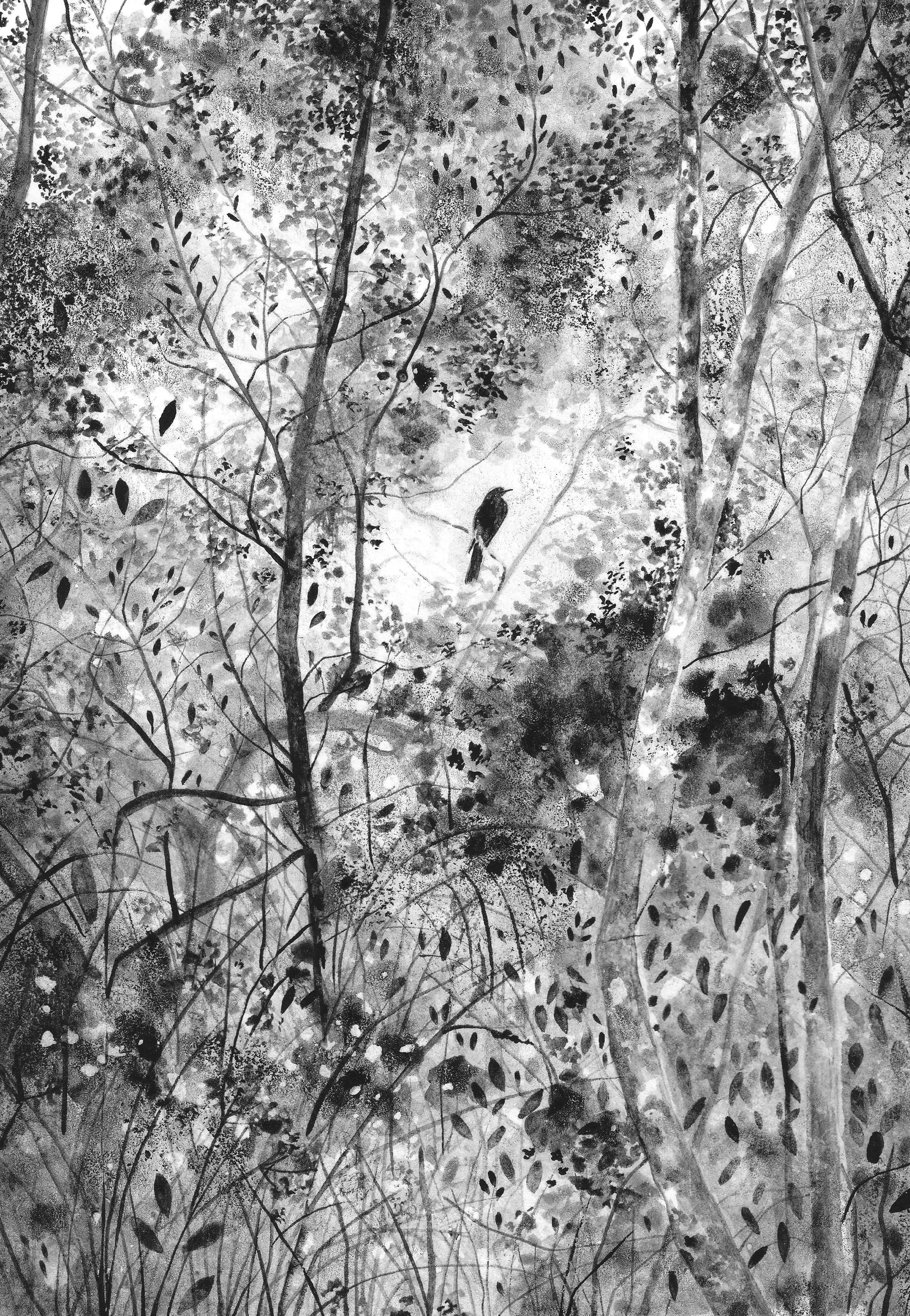 The Blackbird's Lament.jpg
