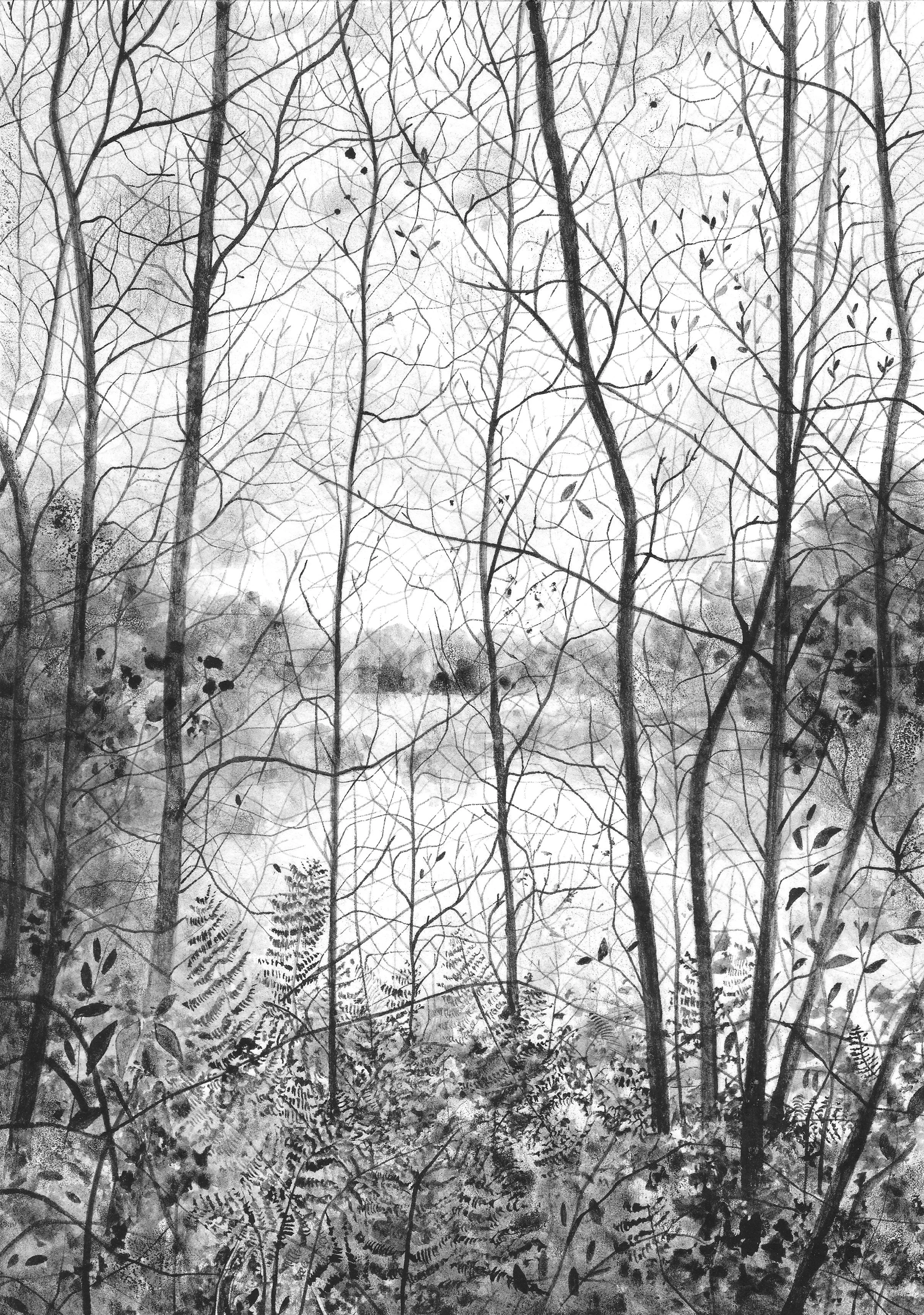 Cannop Ponds Veil.jpg