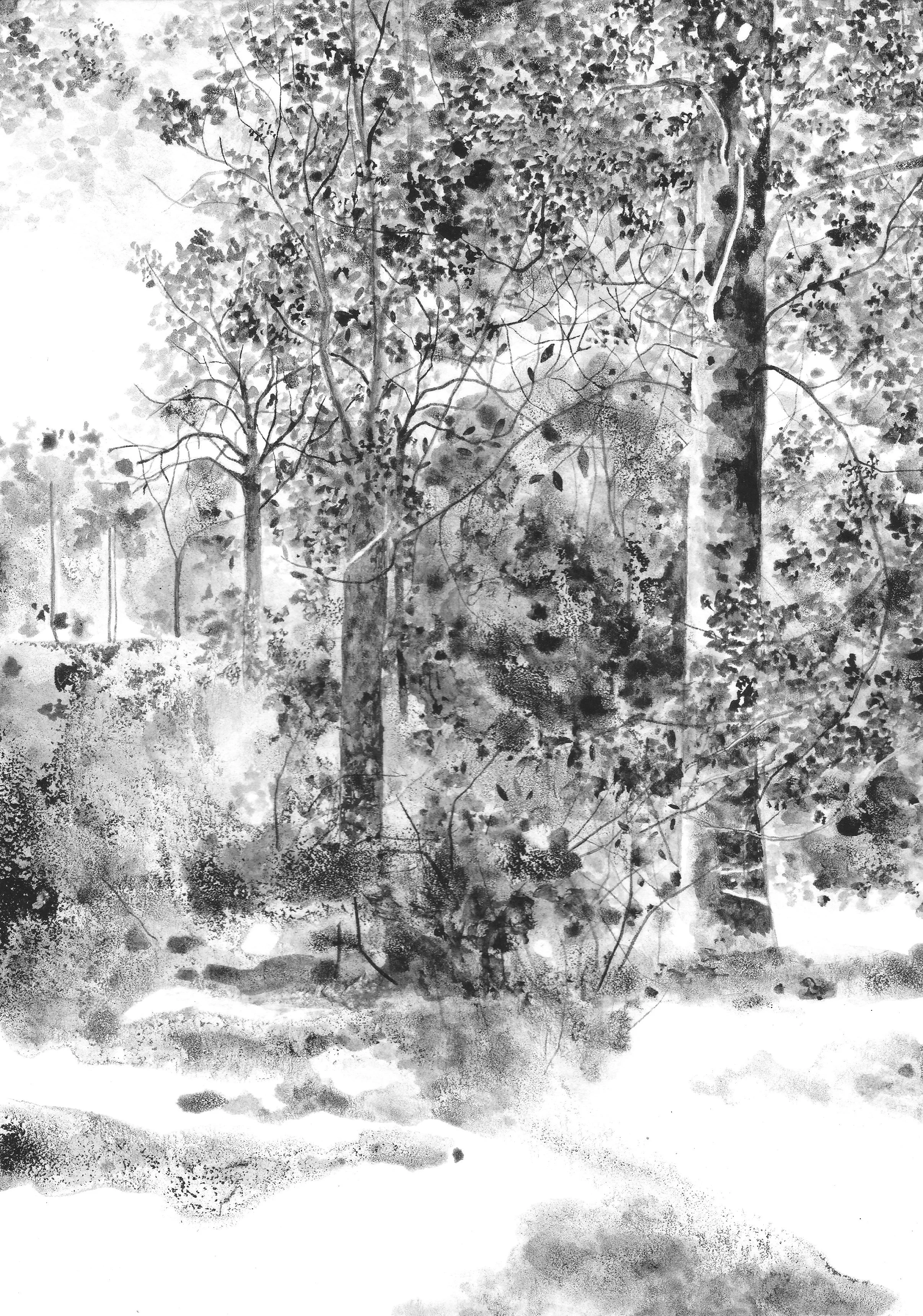 Nagshead Autumn Light.jpg