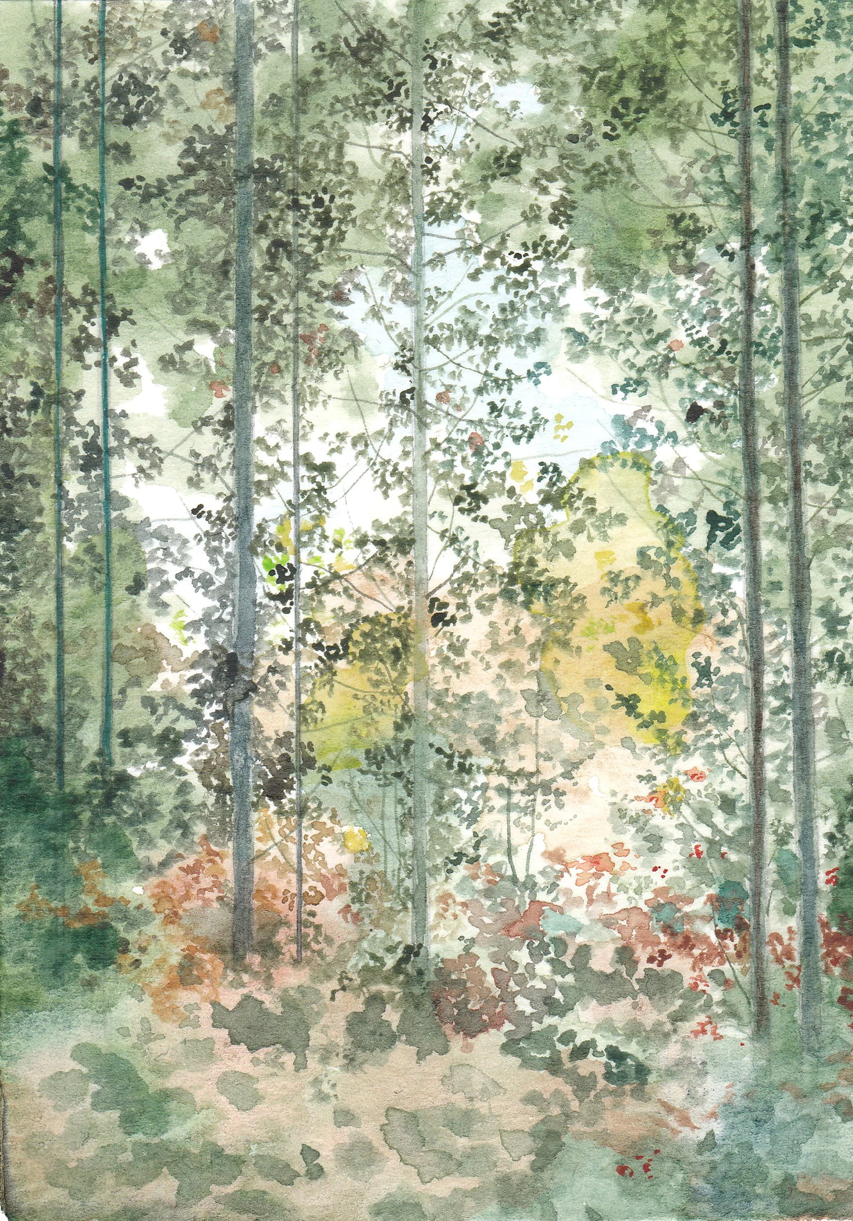 Forest of Dean Colour Study I.jpg
