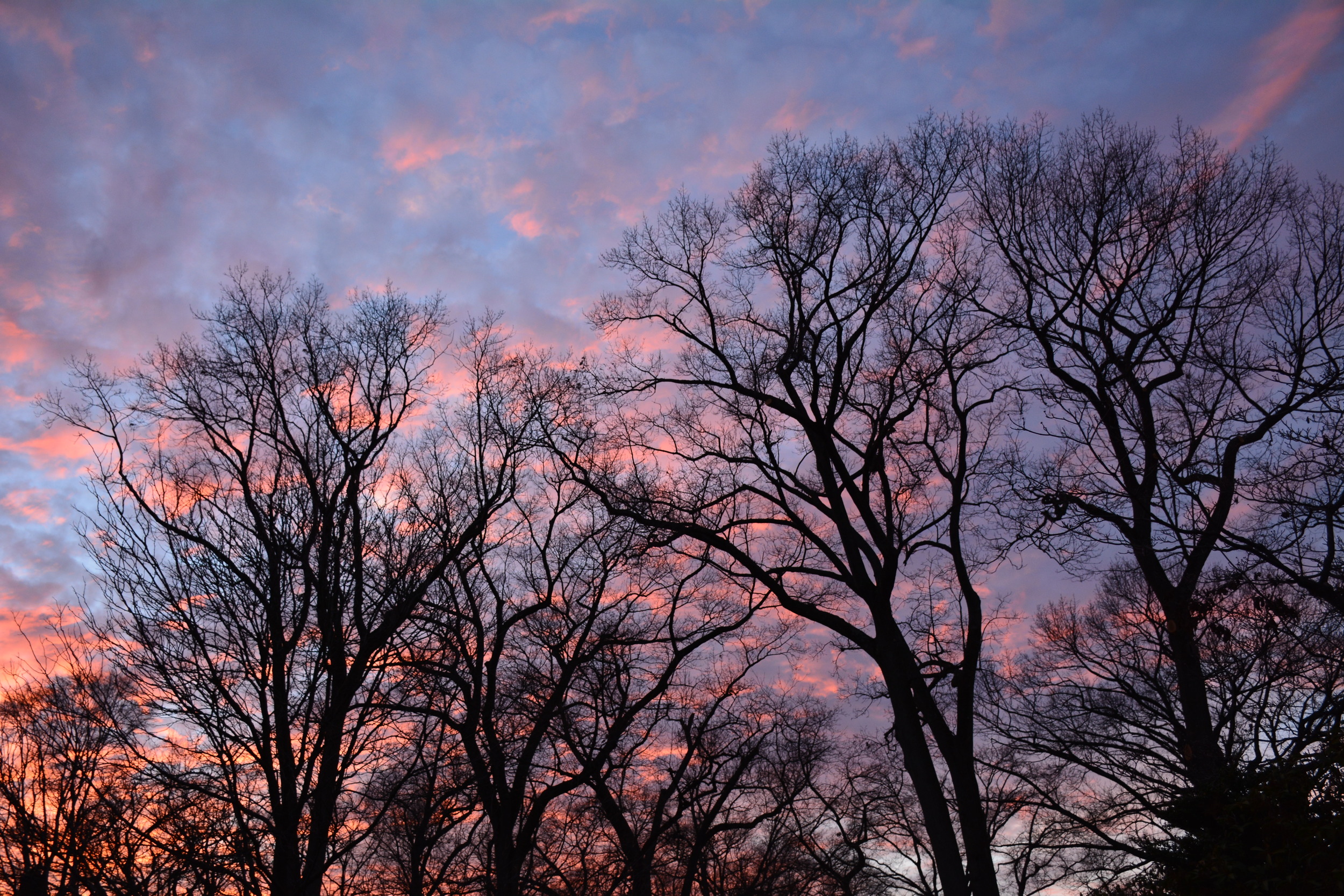  Sunset. Glen Ridge, New Jersey 