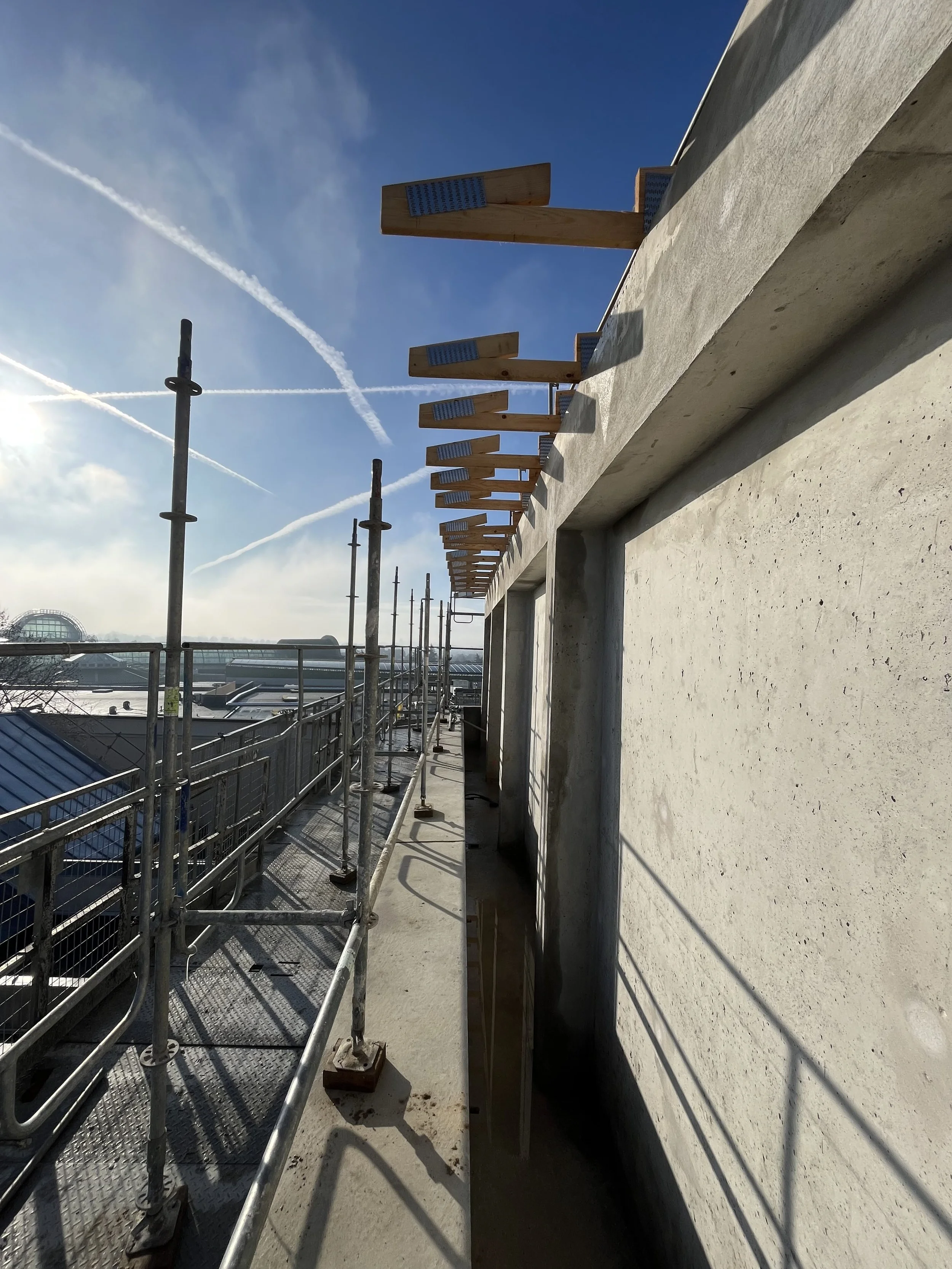 Pose de la charpente en cours